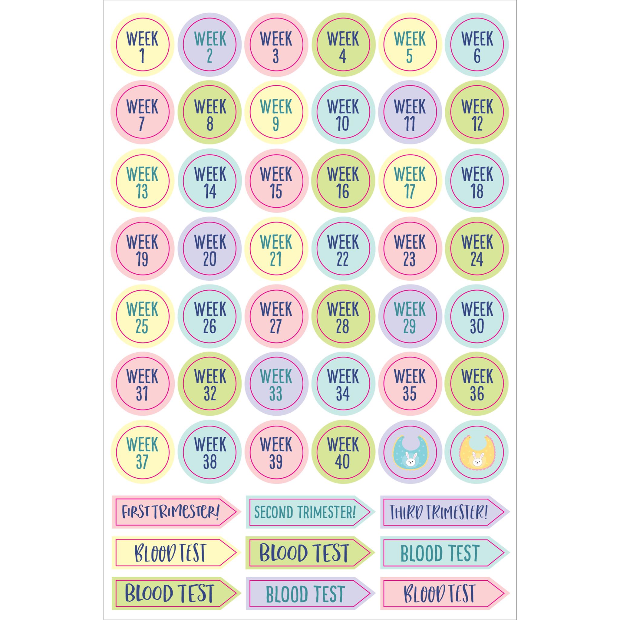 Pregnancy and Babys 1st Year Planner Stickers