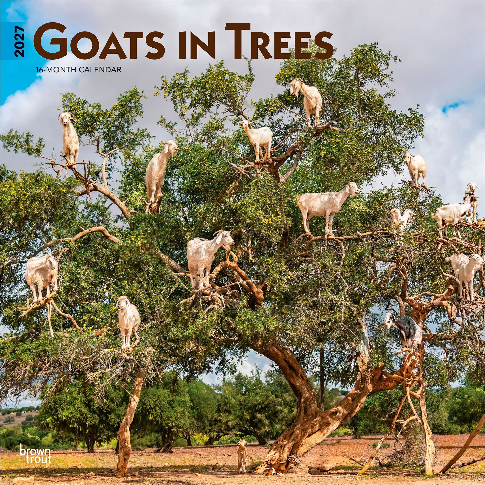 Goats in Trees 2027 Wall Calendar