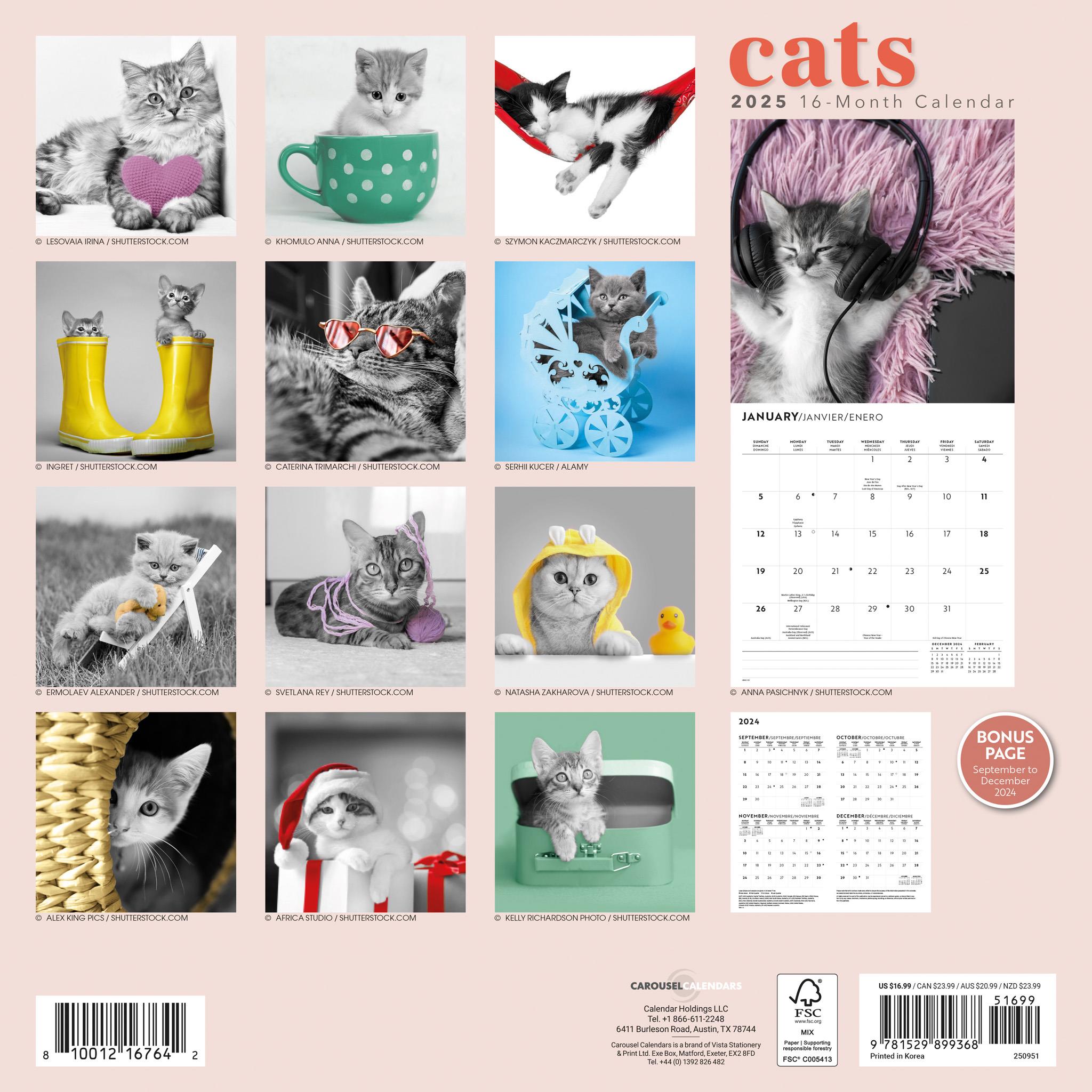 Classic Cats Wall 2025 Calendar
