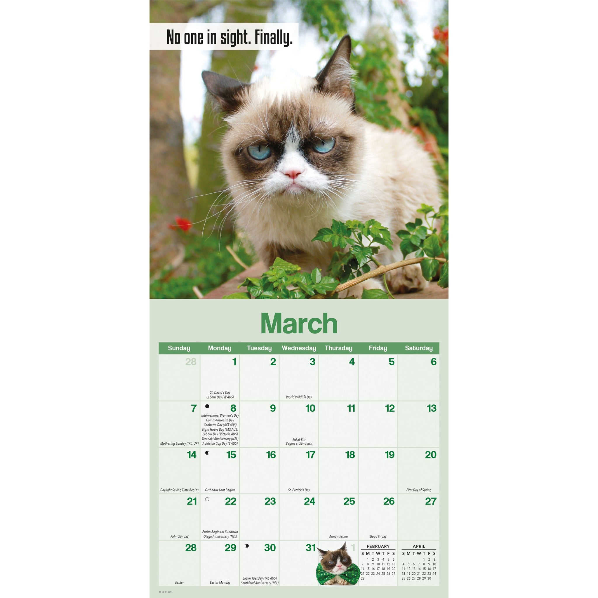 Grumpy Cat 2027 Mini Calendar