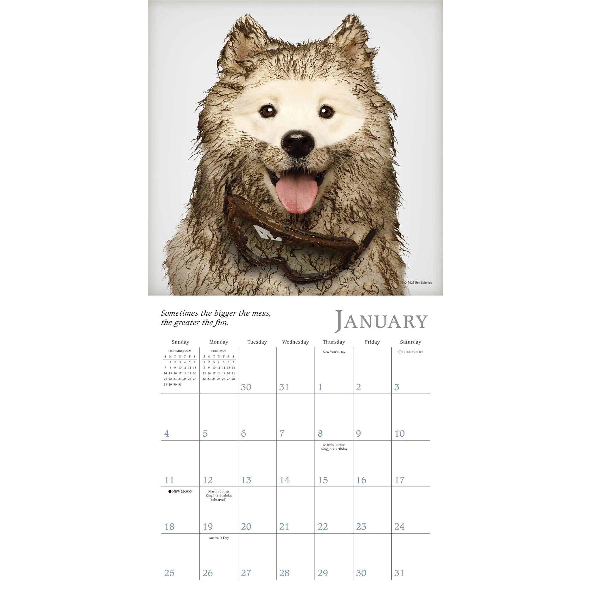 Dogma 2026 Mini Calendar