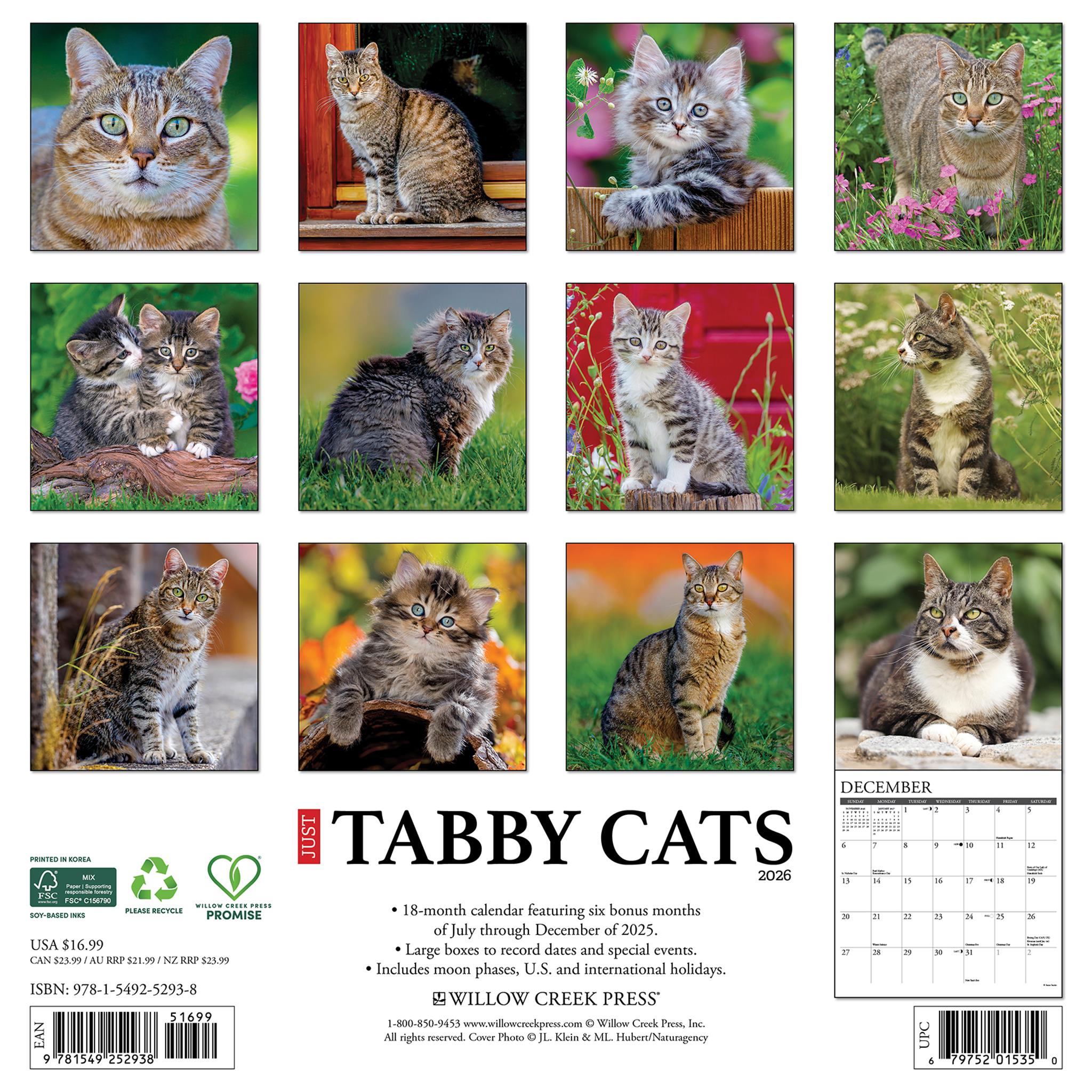 Just Tabby Cats 2026 Wall Calendar - Online Only