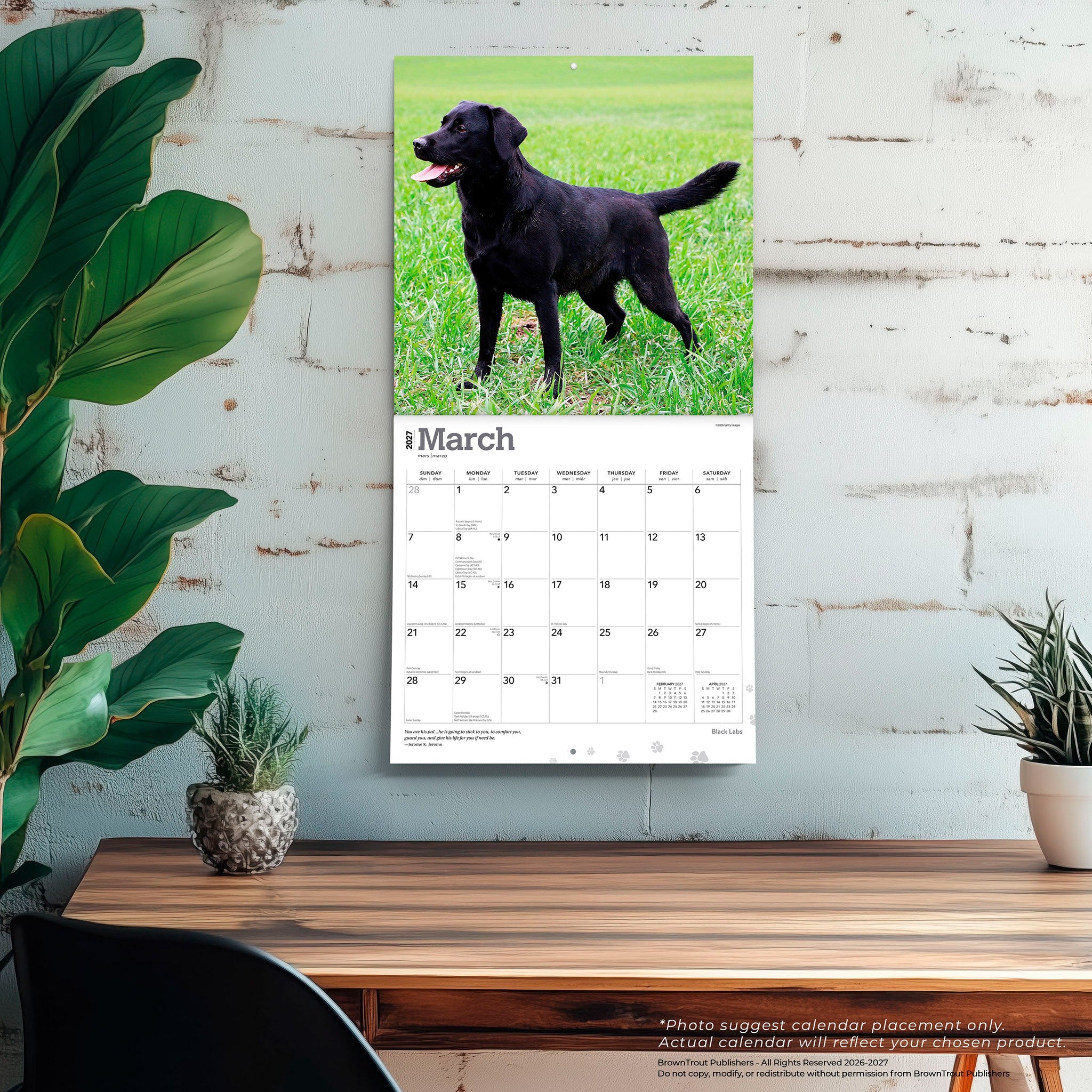 Black Labs 2027 Wall Calendar