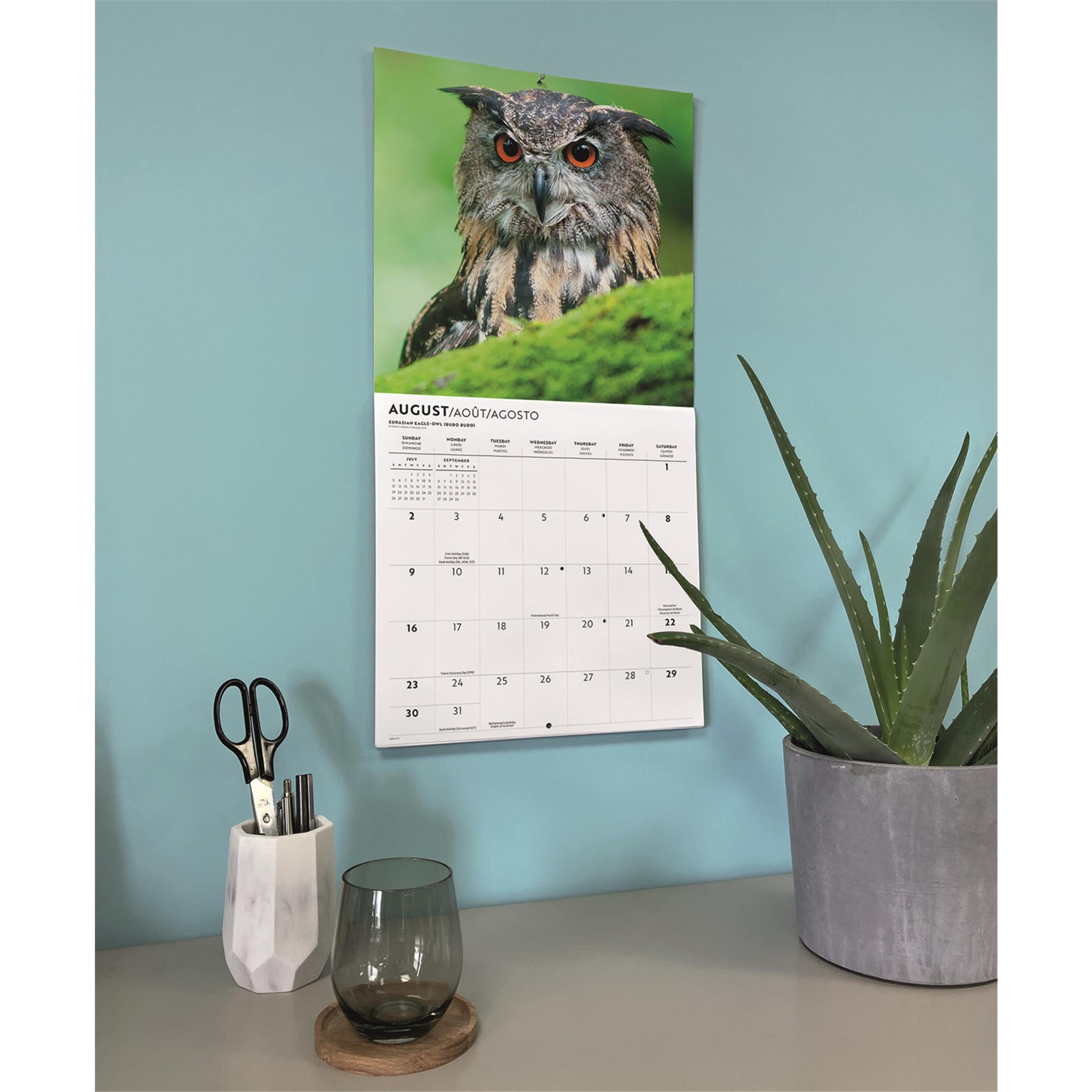 Owls 2026 Wall Calendar