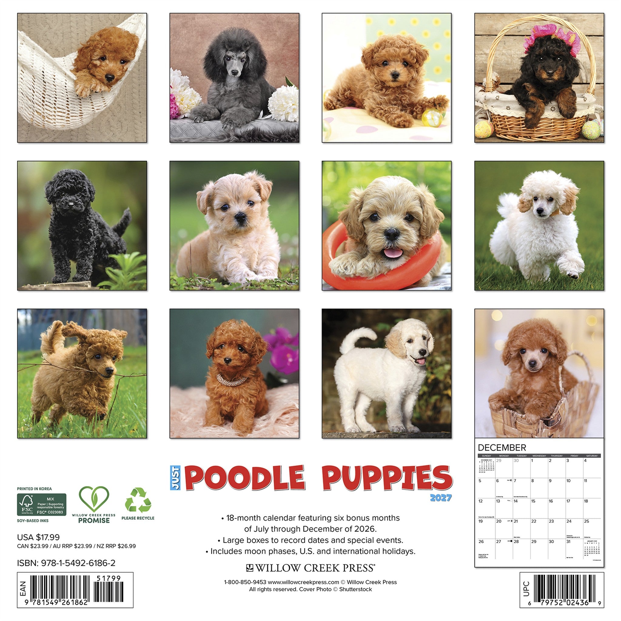 Poodle Puppies 2027 Wall Calendar - Online Only
