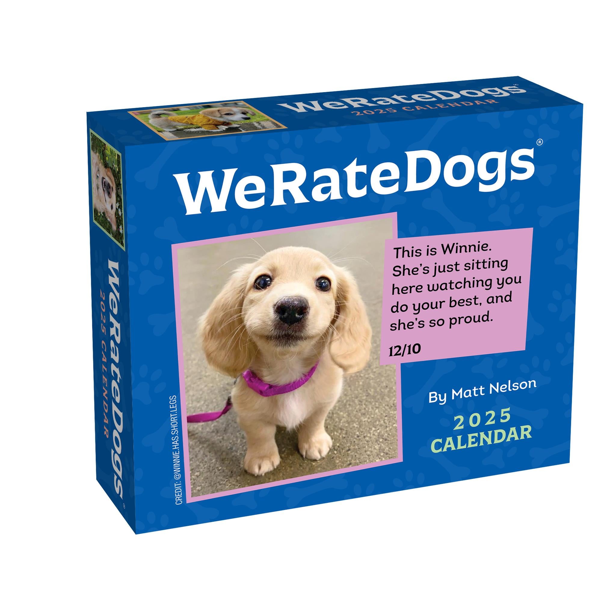 We Only Rate Dogs Calendar 2025 Calendar
