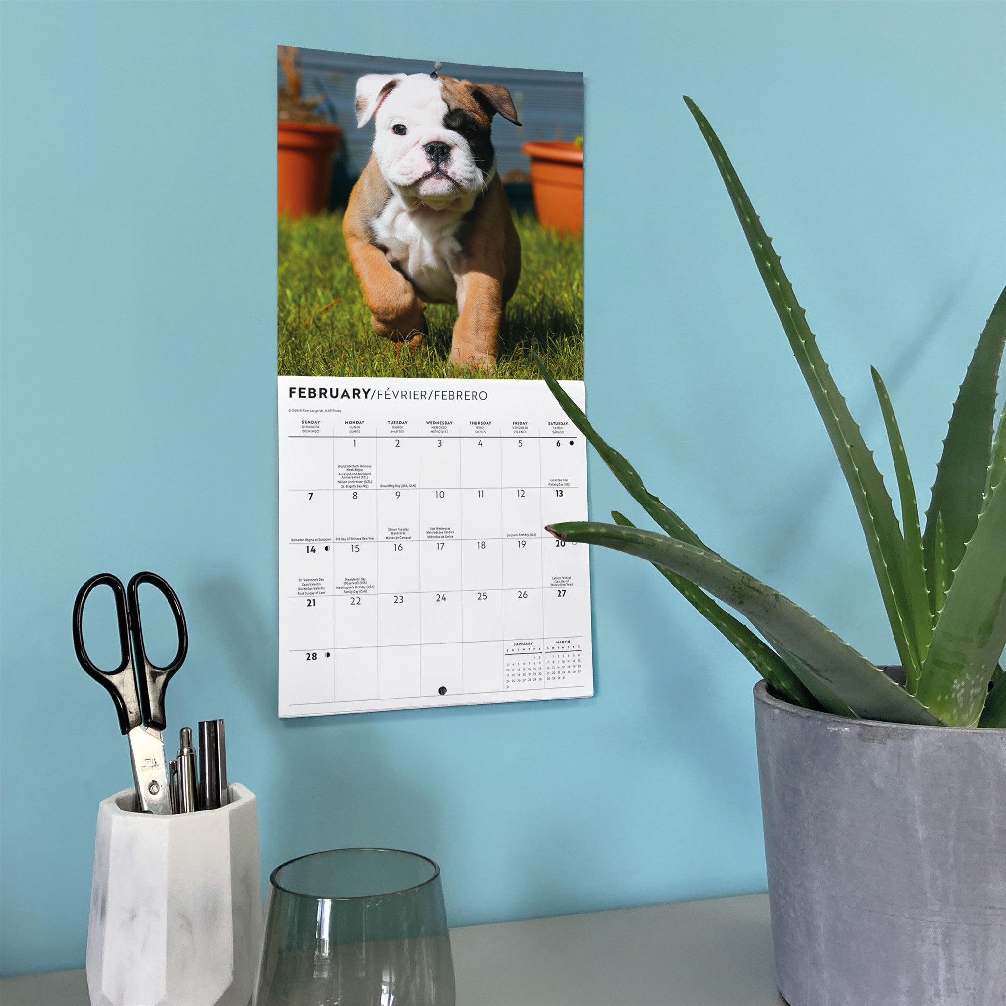 Bulldog Puppies 2027 Mini Calendar