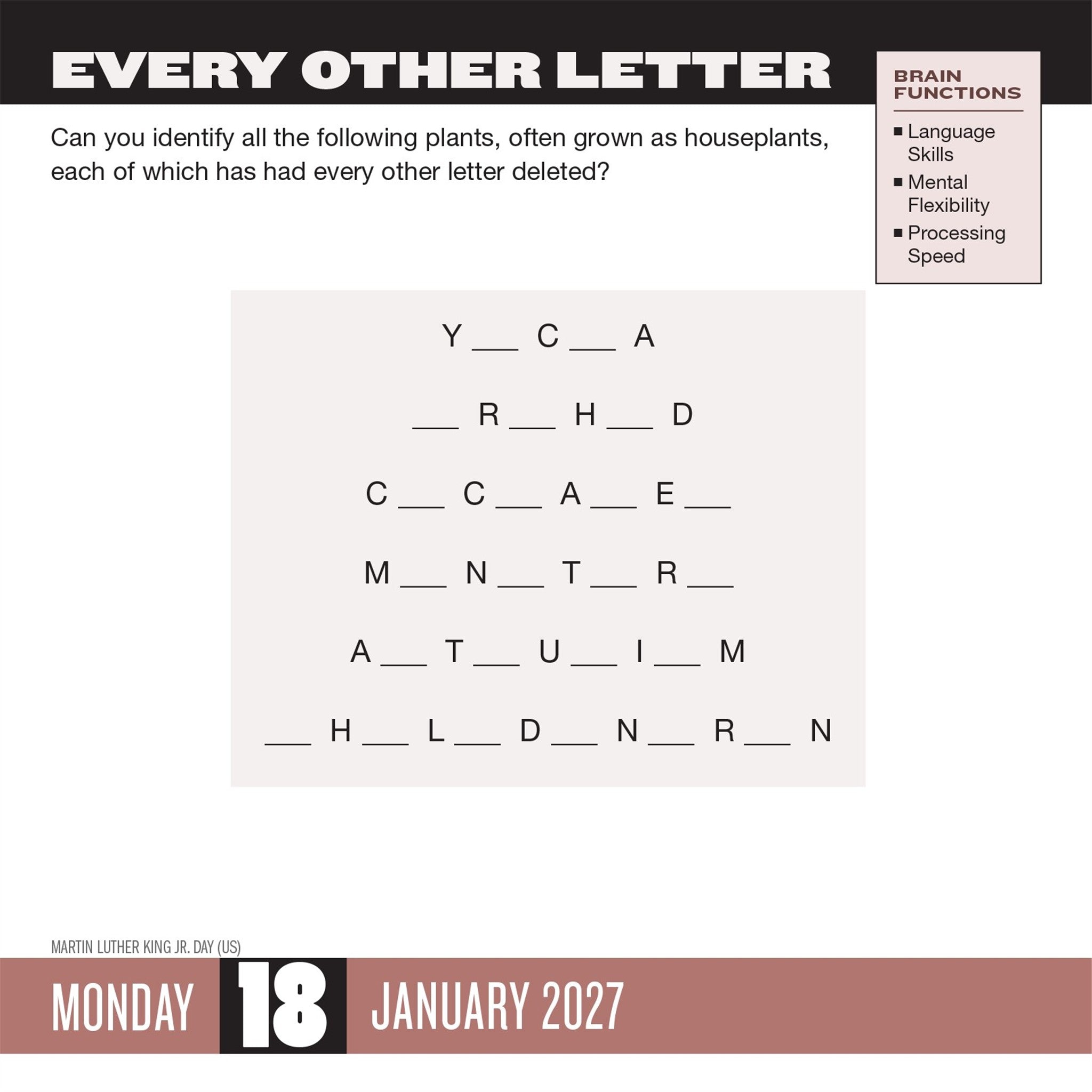 Brainpower Puzzles 2027 Box Calendar - Online Only