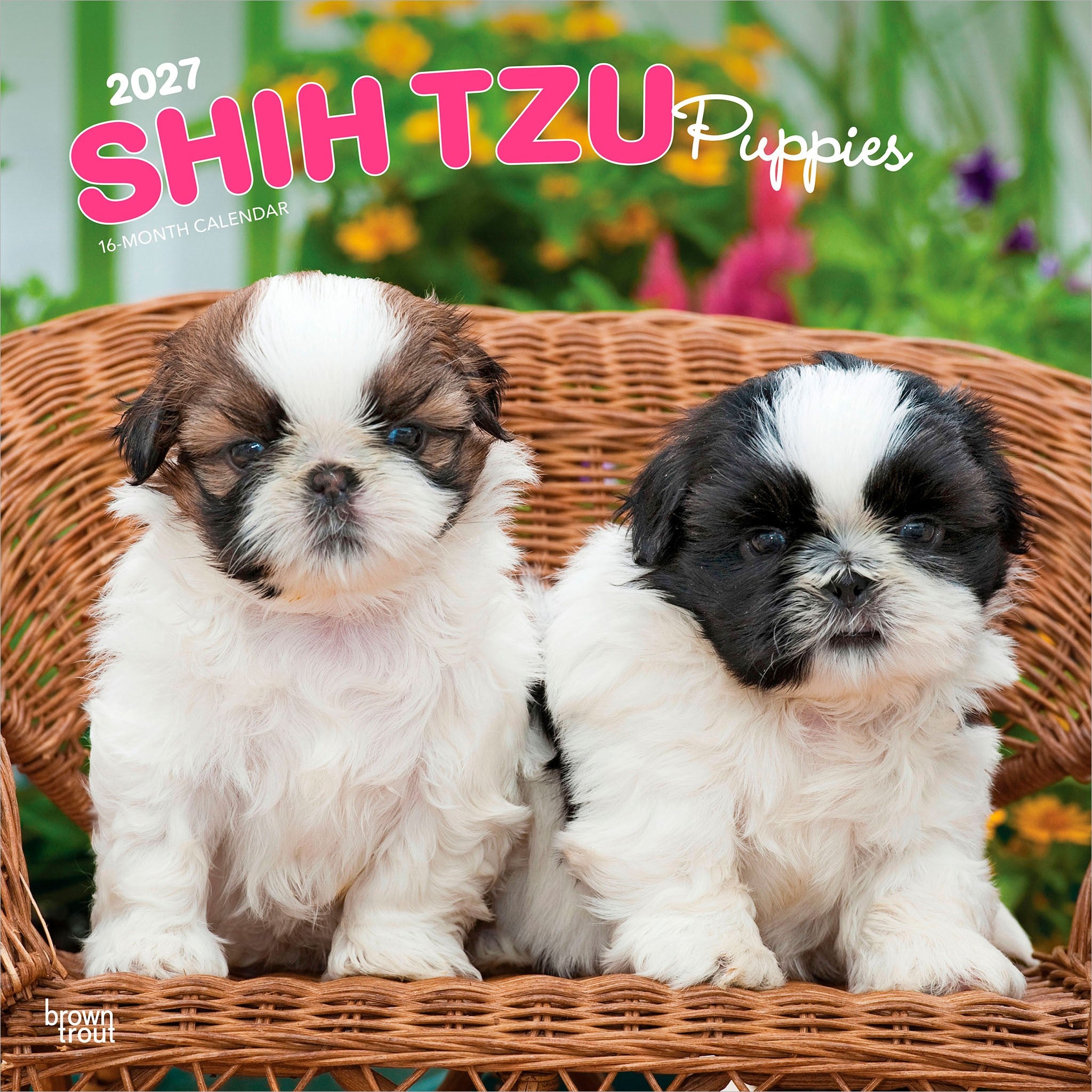 Shih Tzu Puppies 2027 Wall Calendar