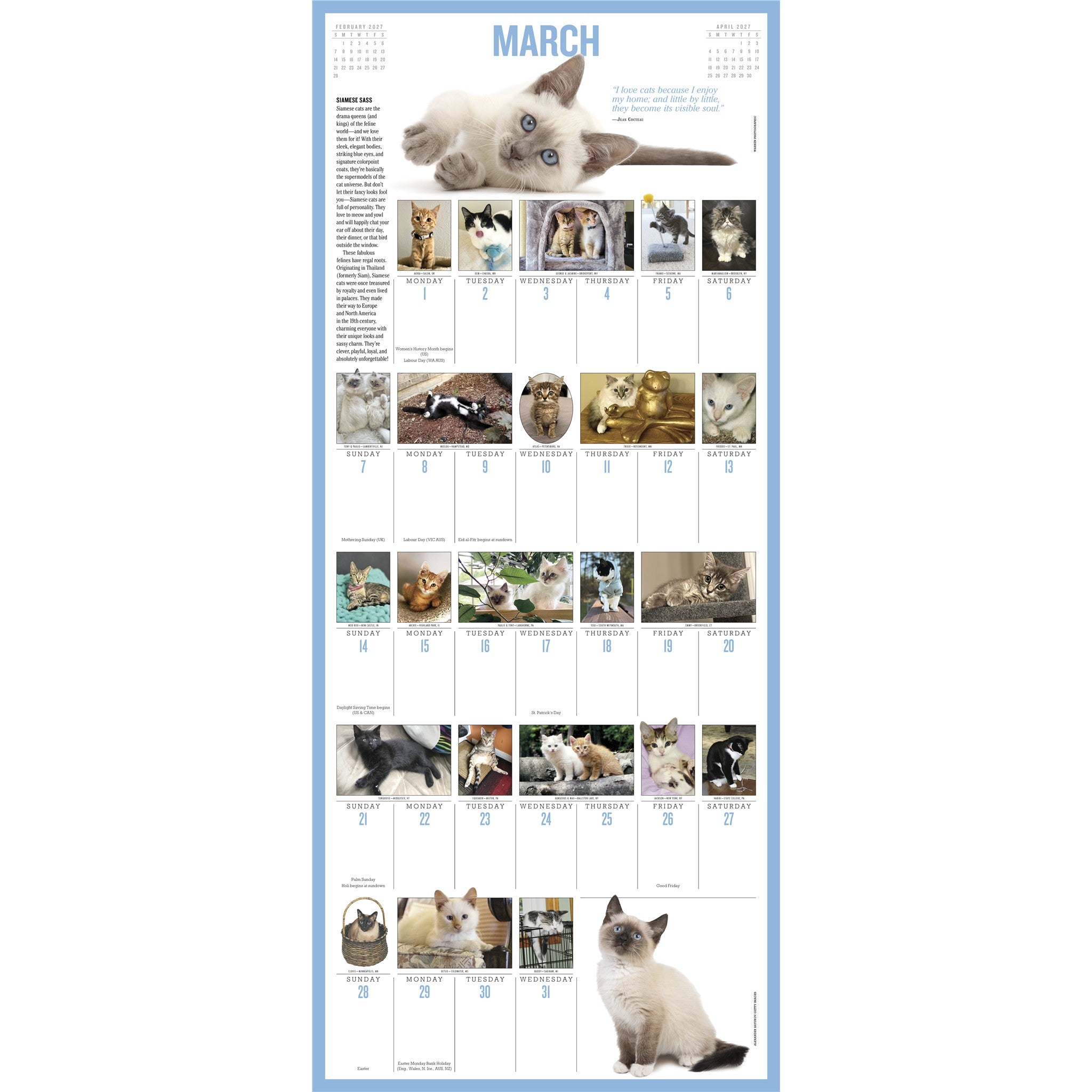 365 Kittens a Year 2027 Wall Calendar