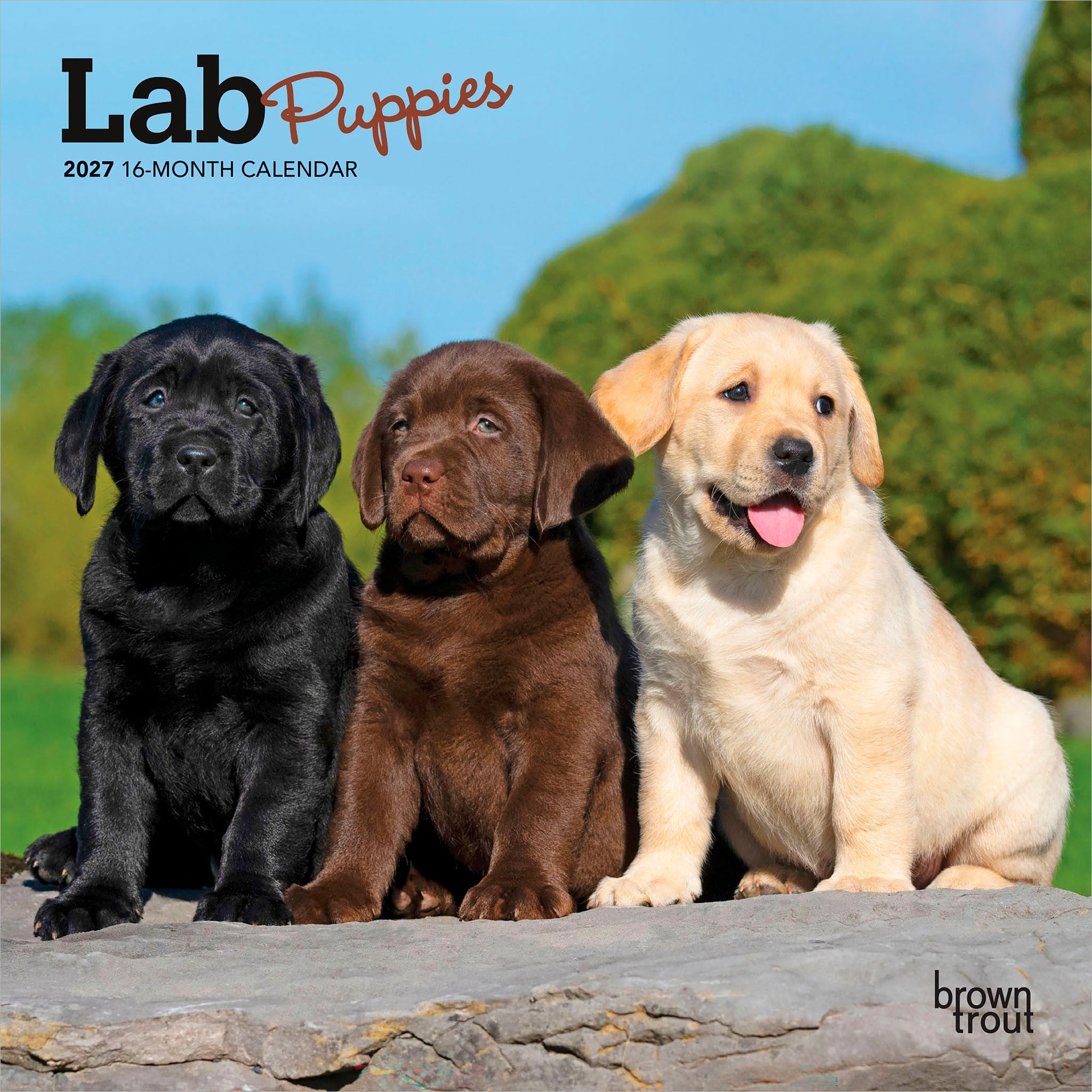 Lab Puppies 2027 Mini Calendar