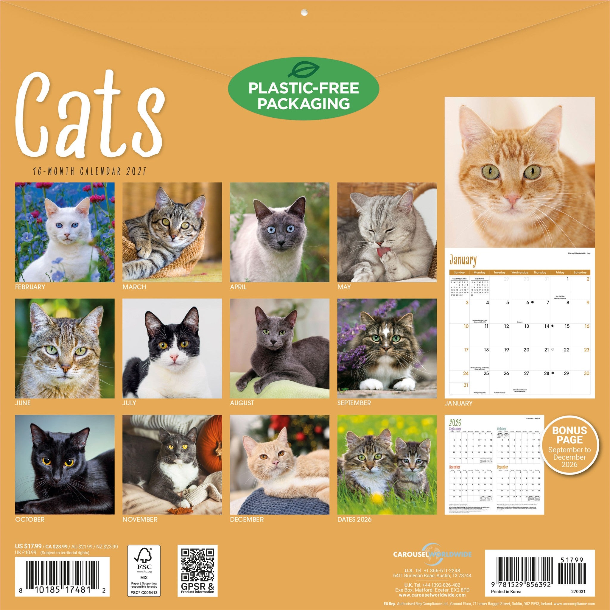 Cats 2027 Wall Calendar