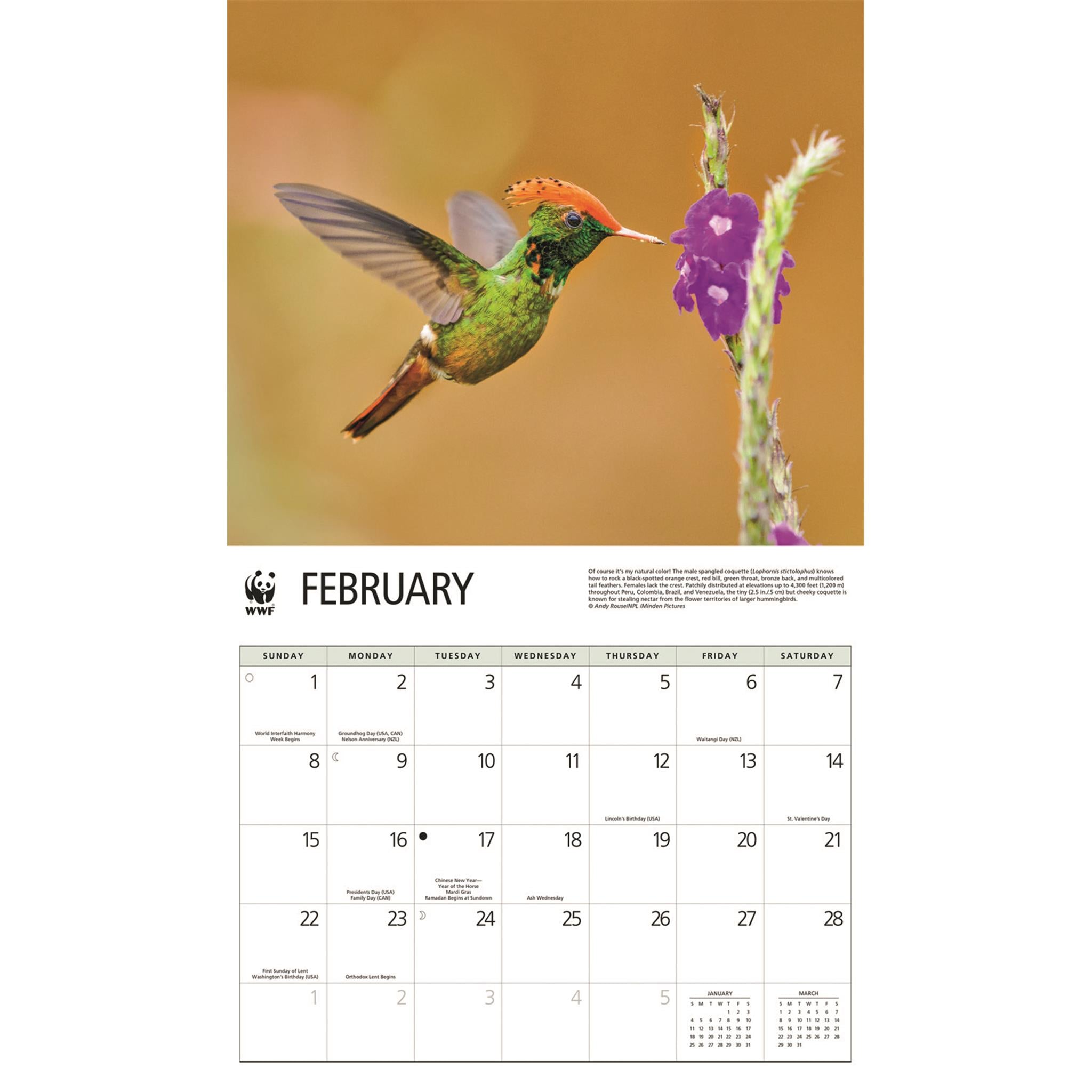 World Wildlife Fund Hummingbirds 2026 Wall Calendar