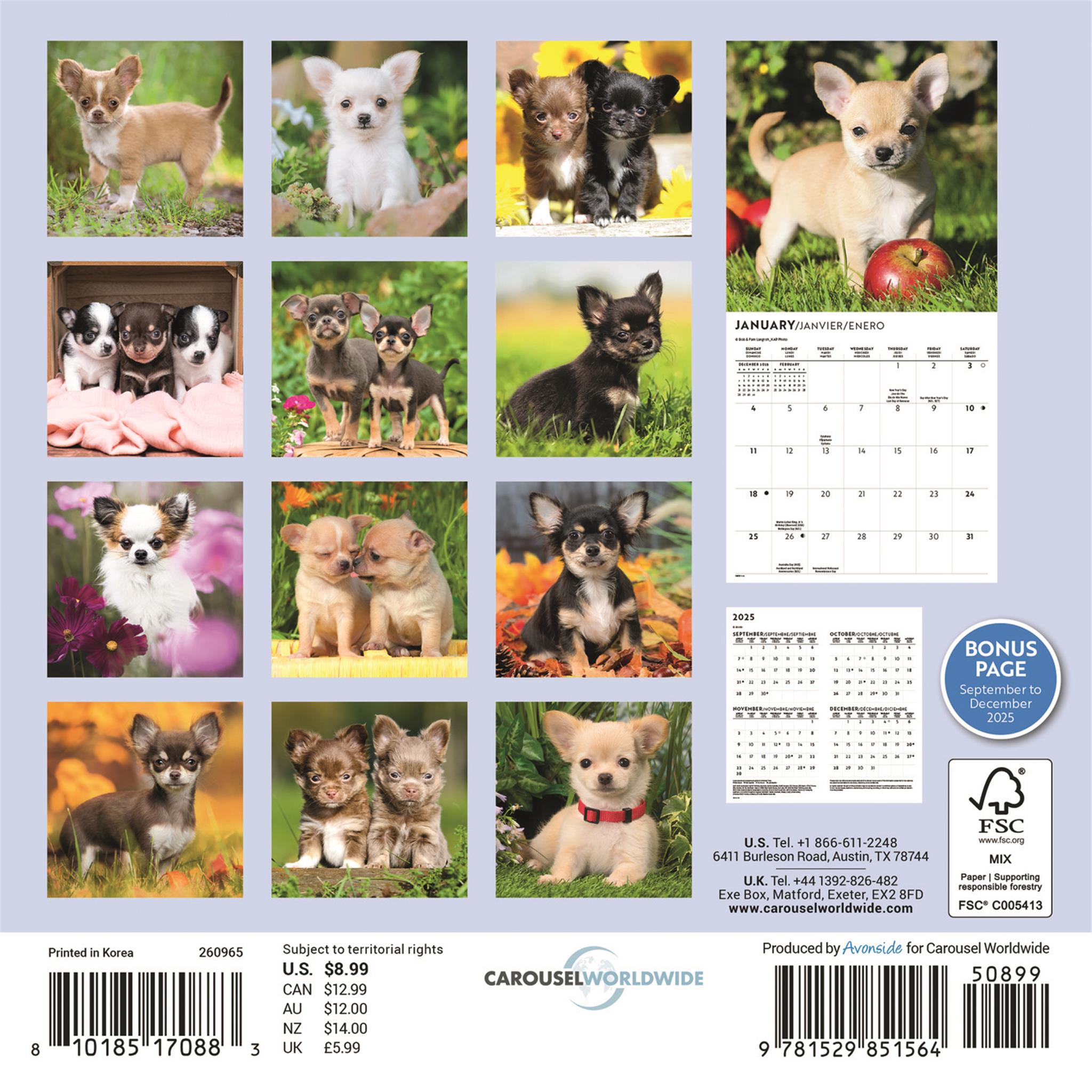Chihuahua Puppies 2026 Mini Calendar