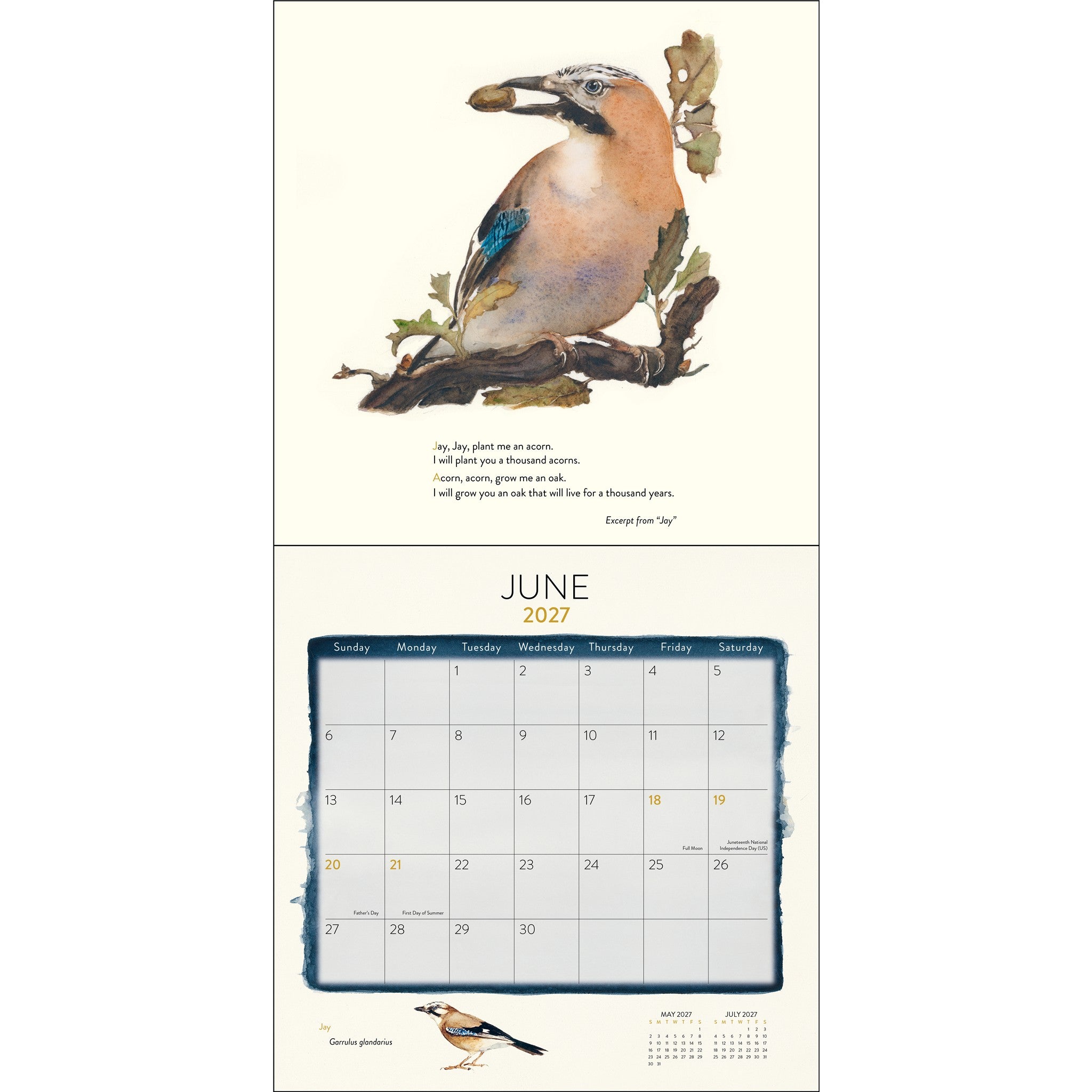 Lost Spells 2027 Wall Calendar - Online Only