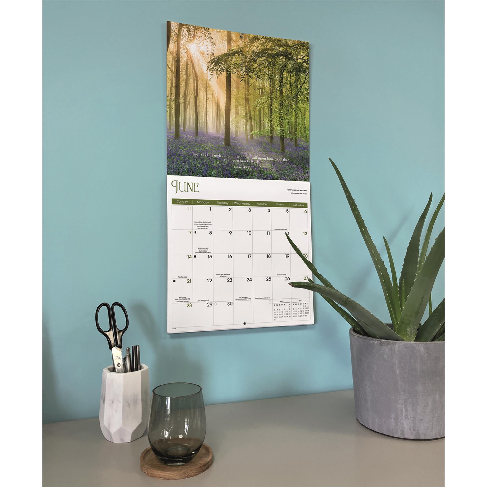 Psalms 2026 Wall Calendar