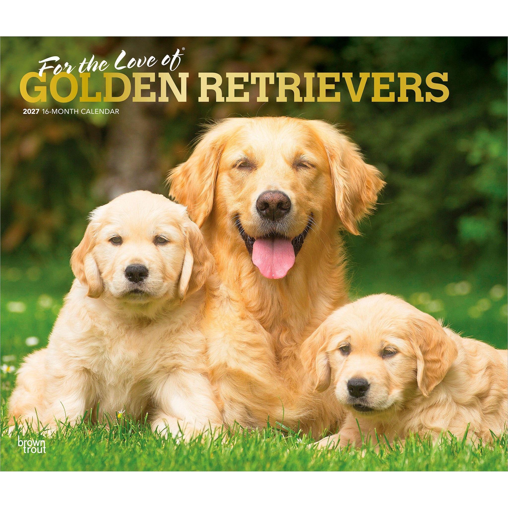 For the Love of Golden Retrievers 2027 Wall Calendar