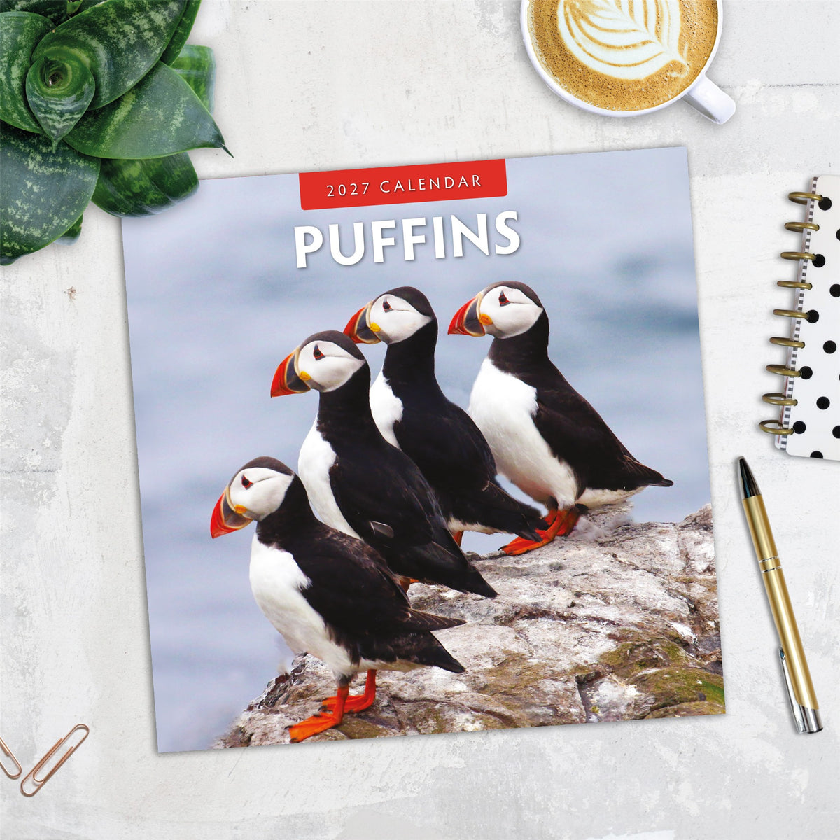 Puffins 2027 Wall Calendar