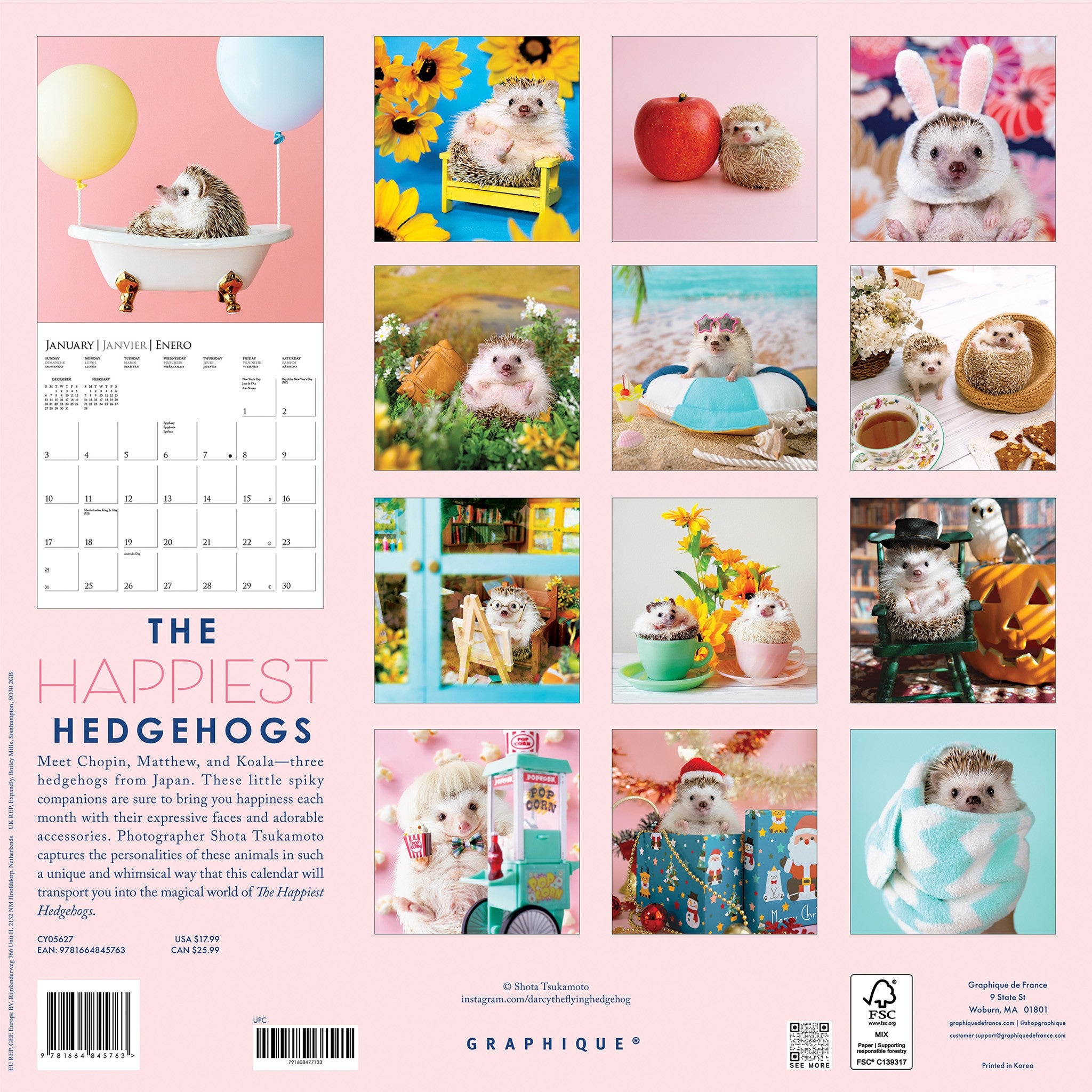 Happiest Hedgehogs 2027 Wall Calendar - Online Only