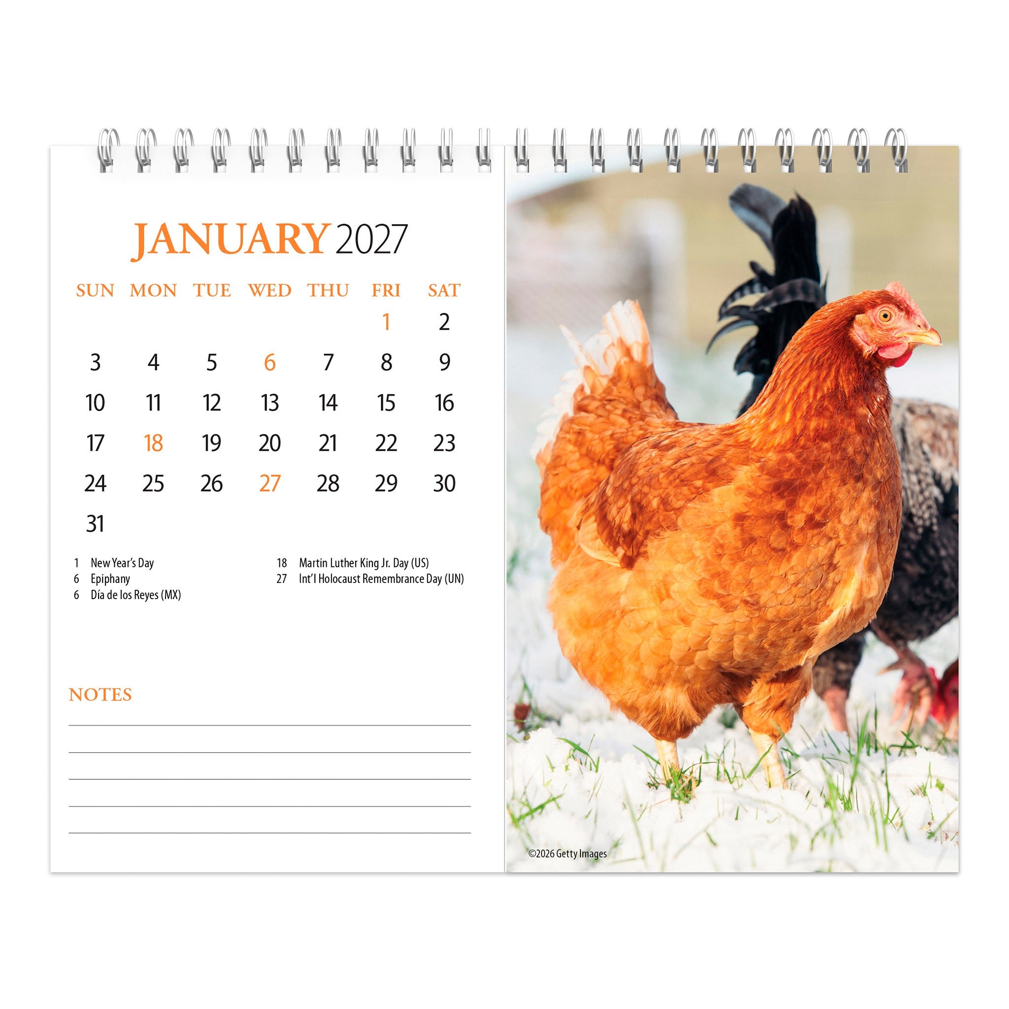 Chickens Double-View 2027 Easel Calendar - Online Only