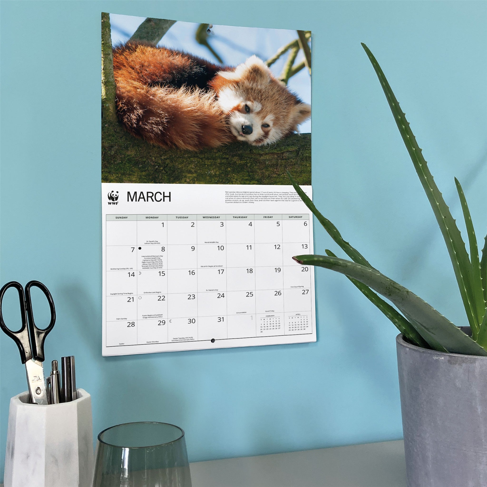 World Wildlife Fund Red Pandas 2027 Wall Calendar