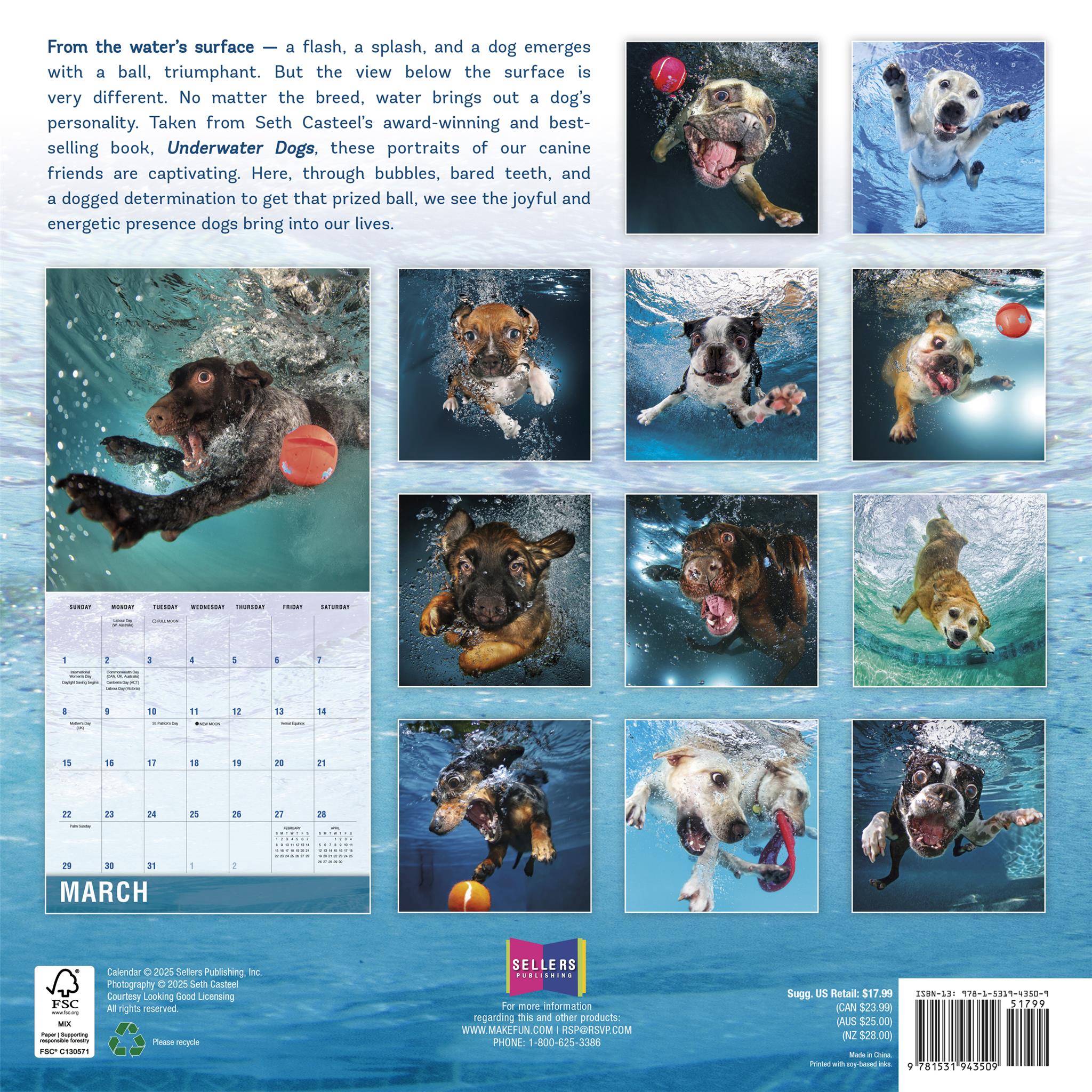 Underwater Dogs 2026 Wall Calendar