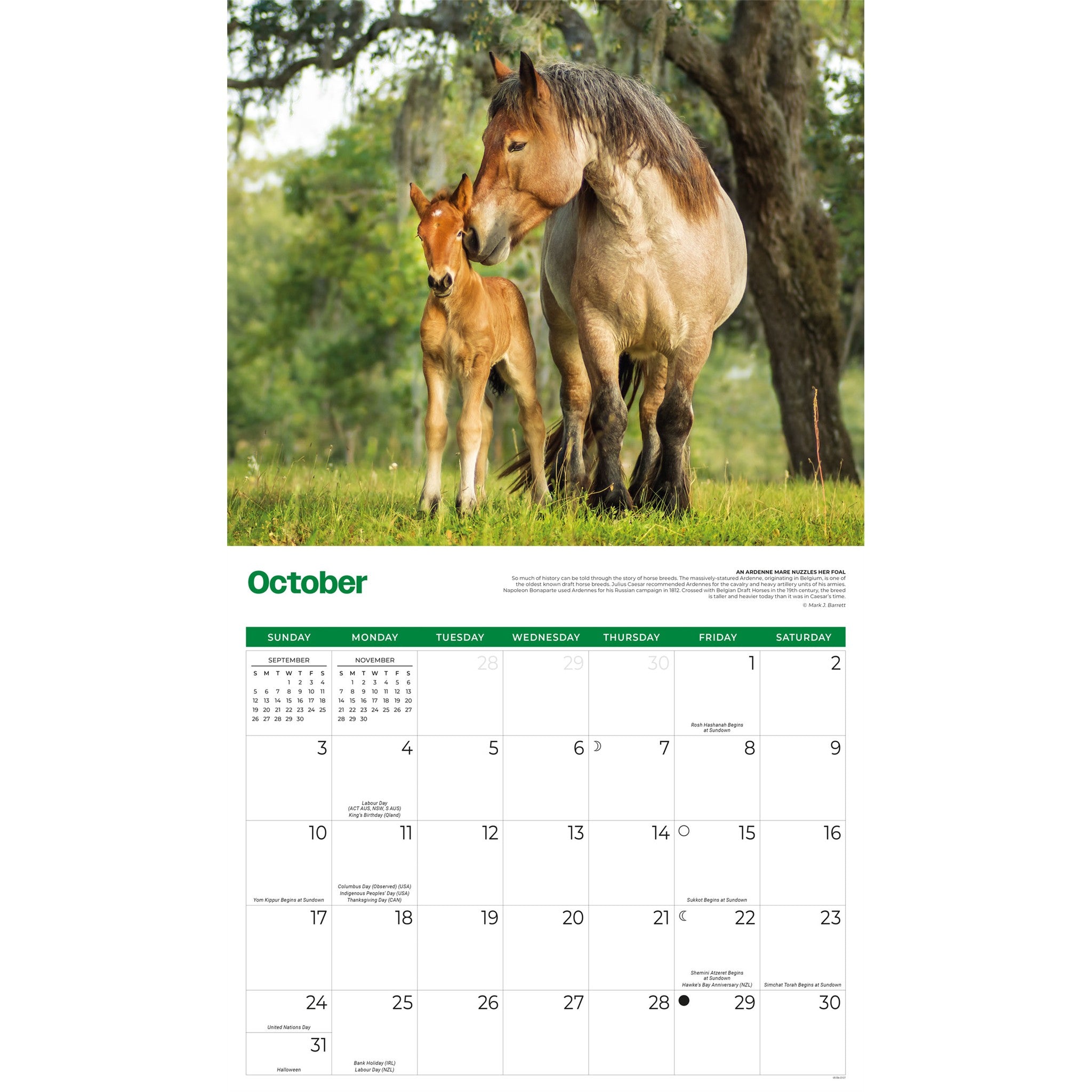 Horses 2027 Wall Calendar