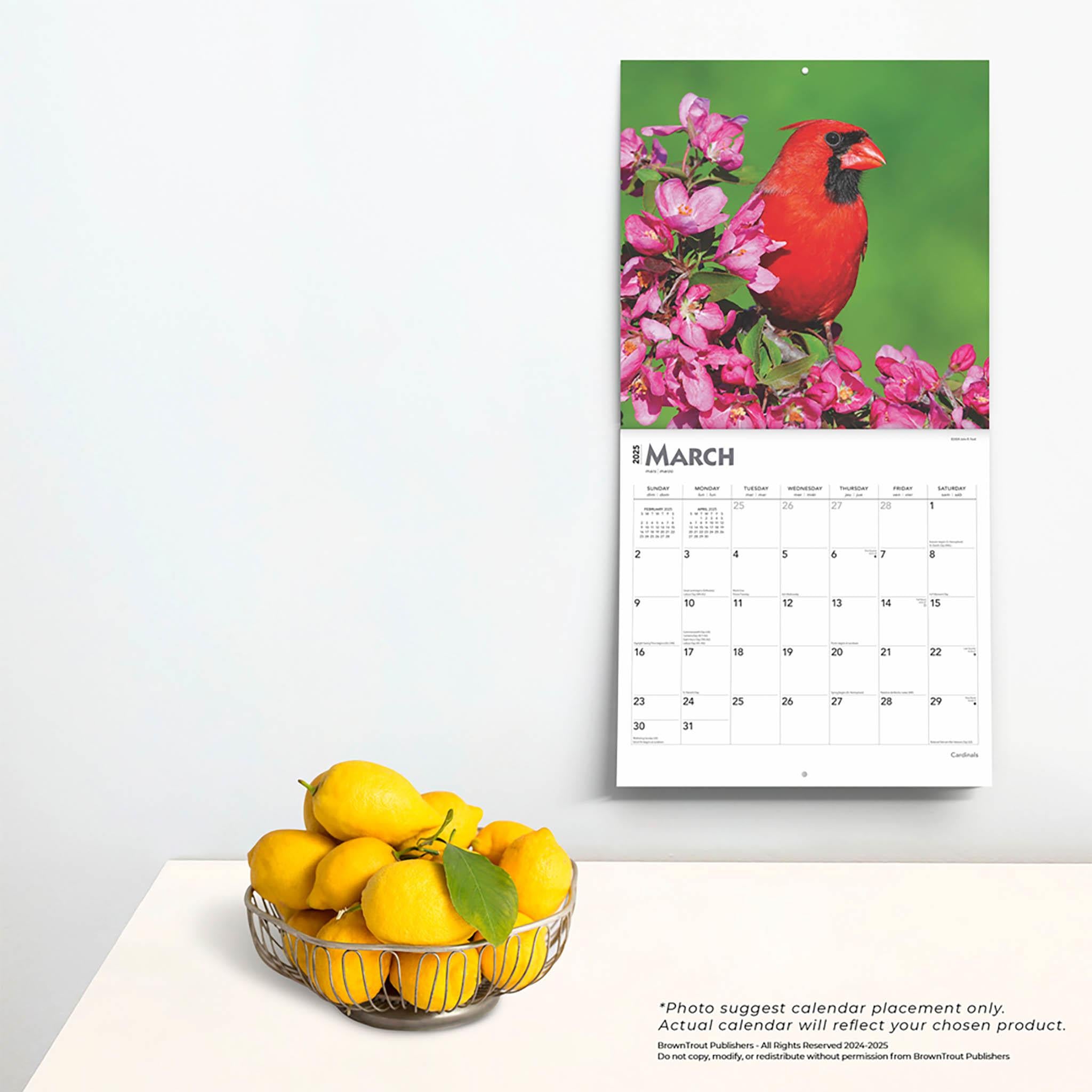Cardinals Wall 2025 Calendar