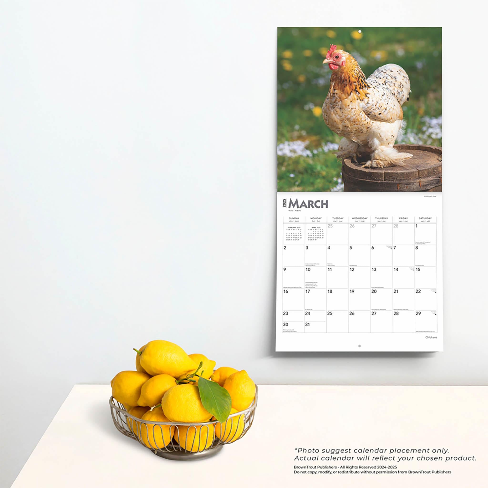 Chickens Wall 2025 Calendar
