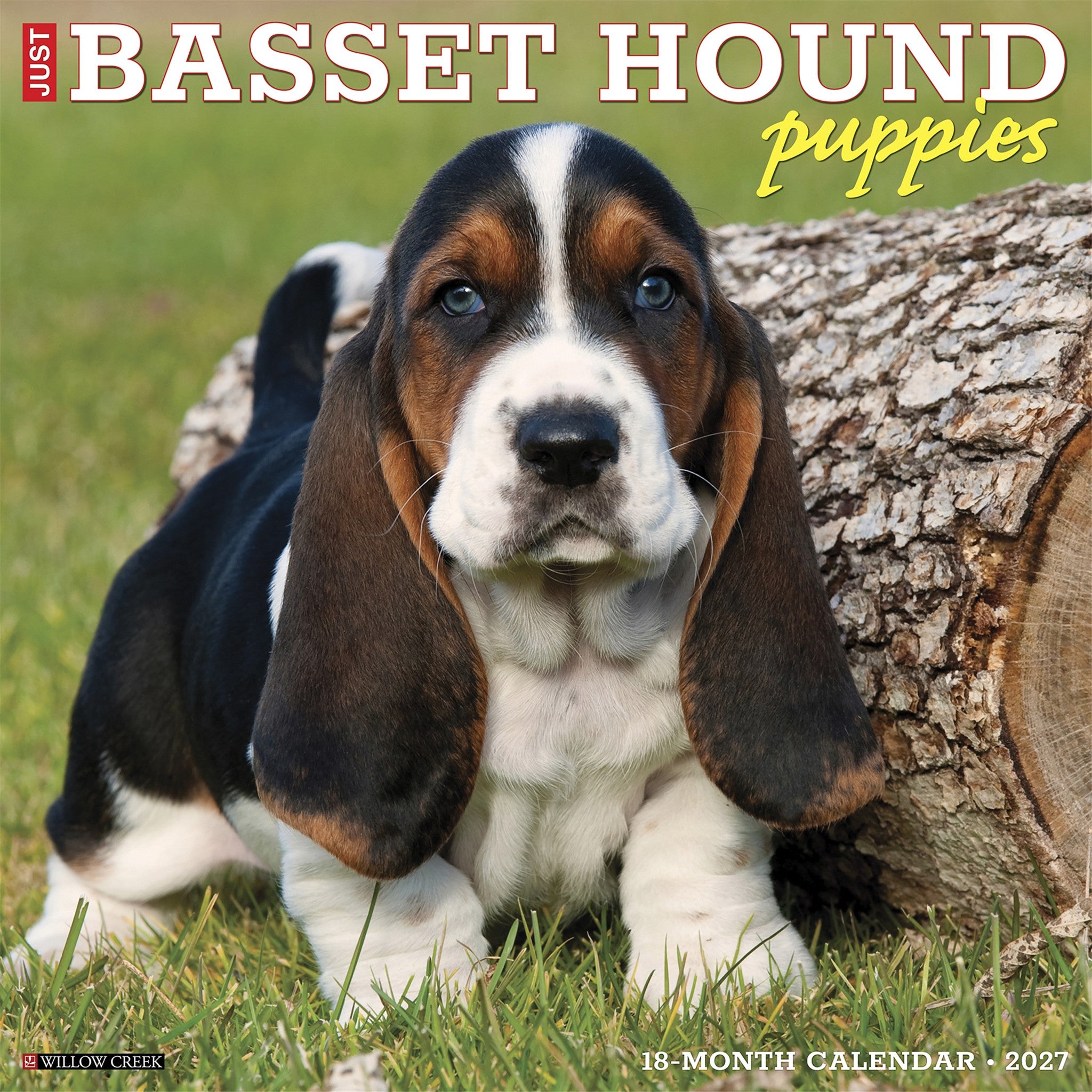 Basset Hound Puppies 2027 Wall Calendar - Online Only