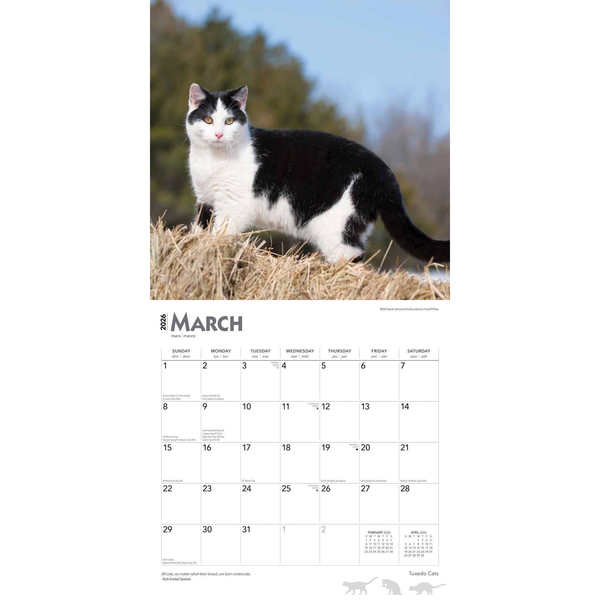 Tuxedo Cats 2026 Wall Calendar
