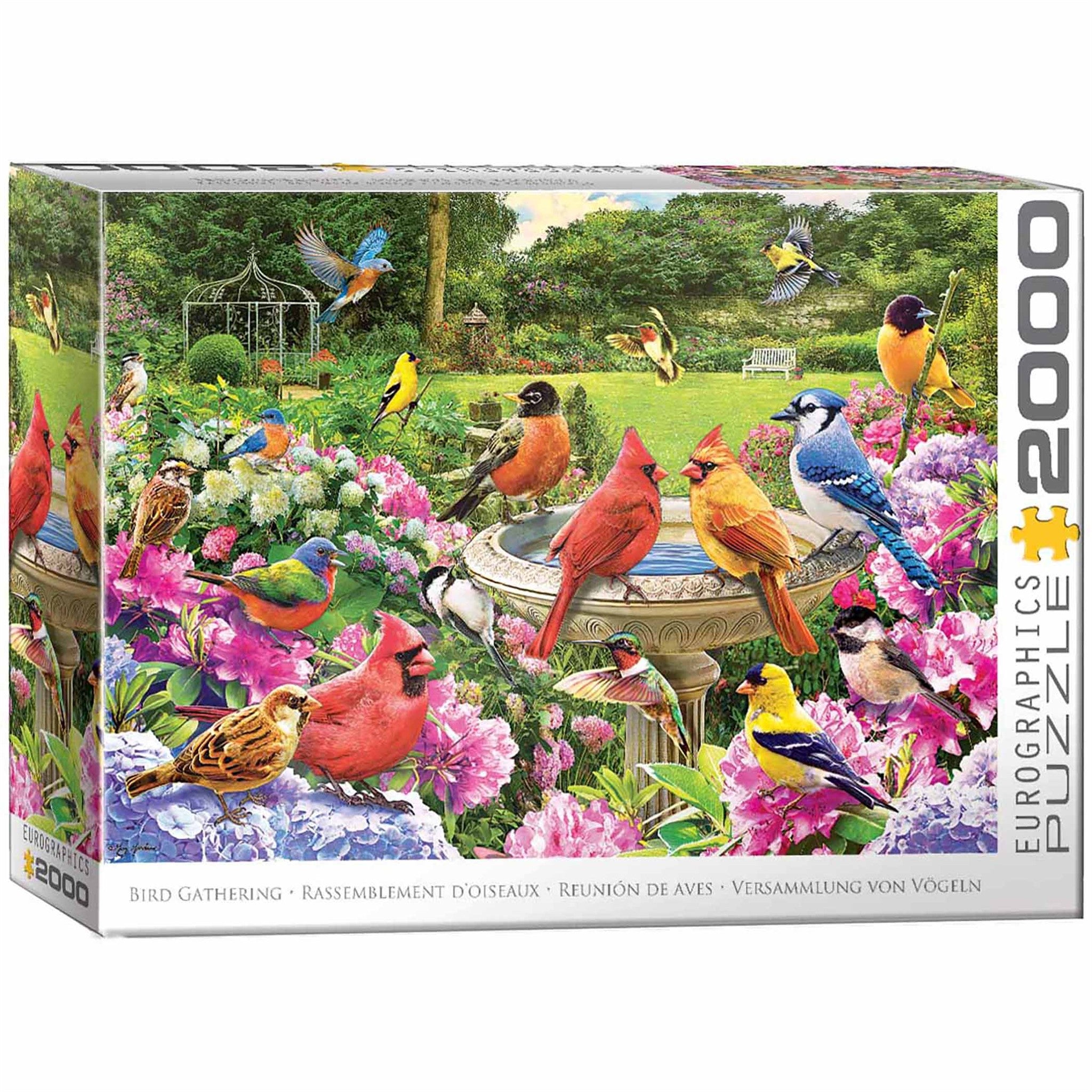 Bird Gathering 2000 Piece Puzzle