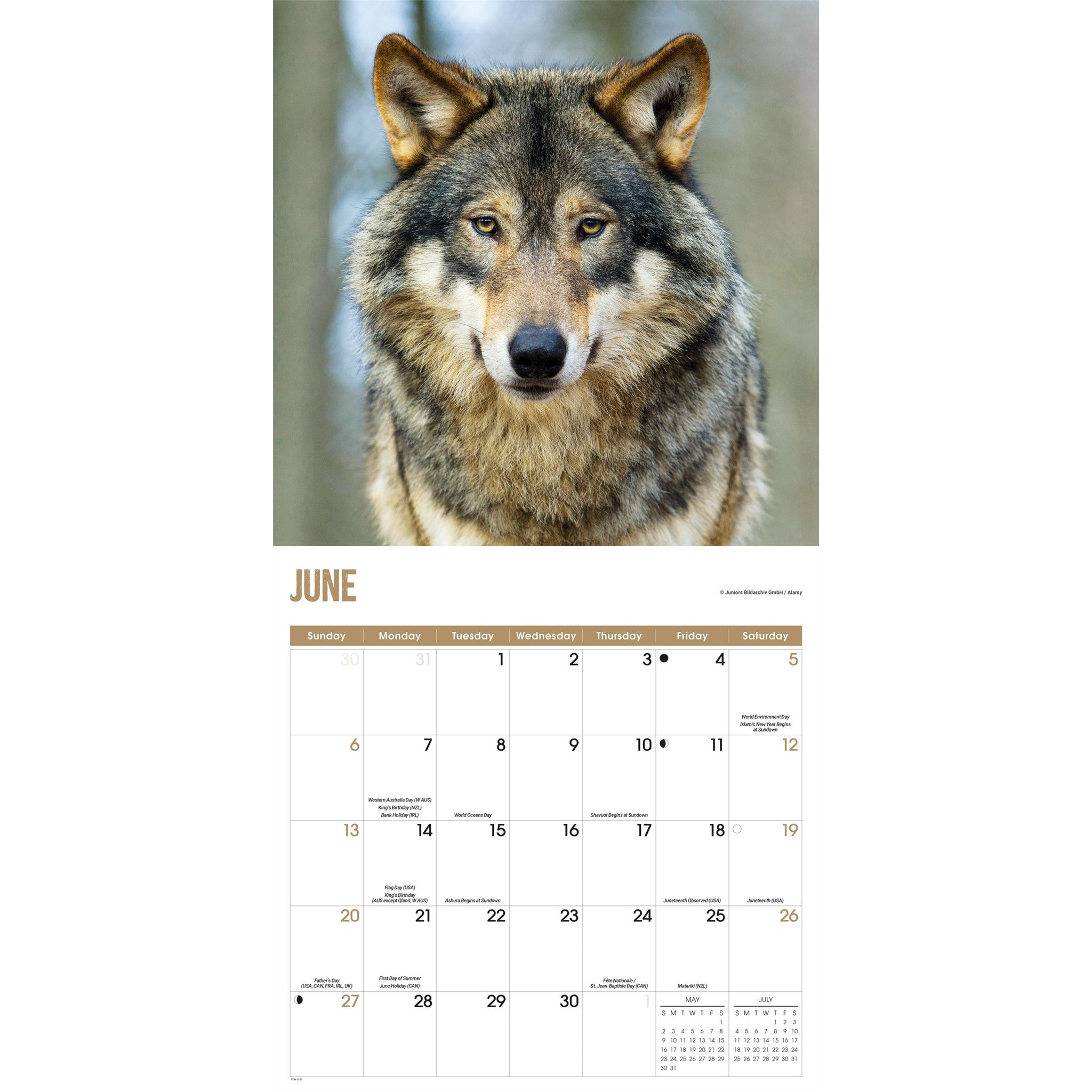 Wolves 2027 Wall Calendar
