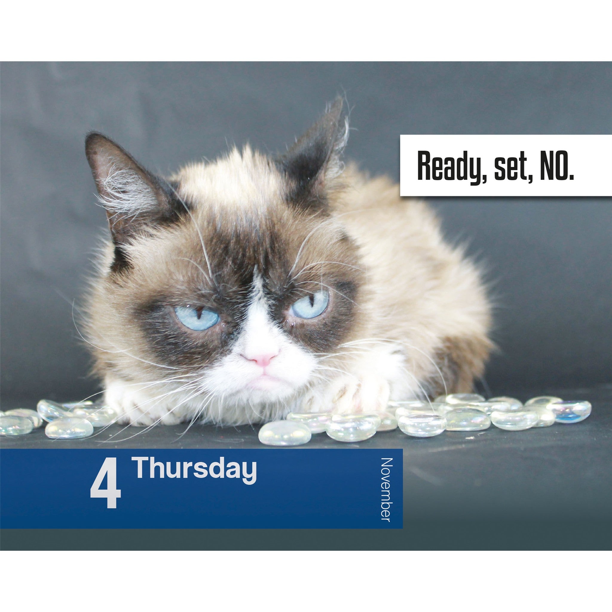 Grumpy Cat 2027 Box Calendar