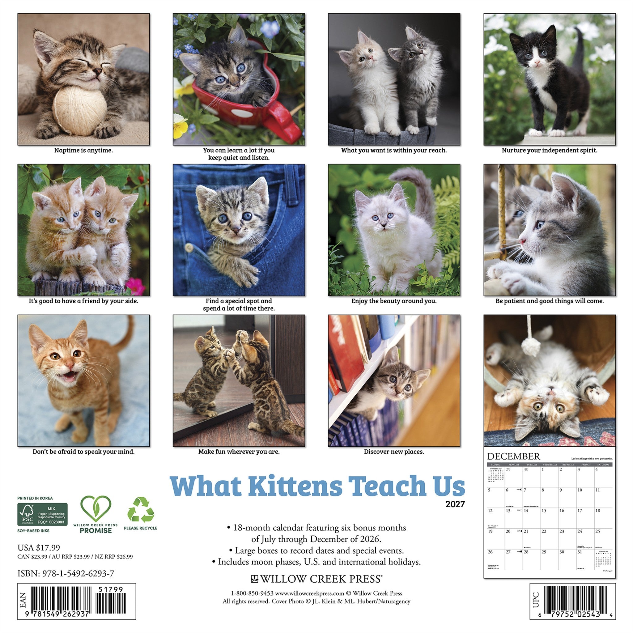 What Kittens Teach Us 2027 Wall Calendar