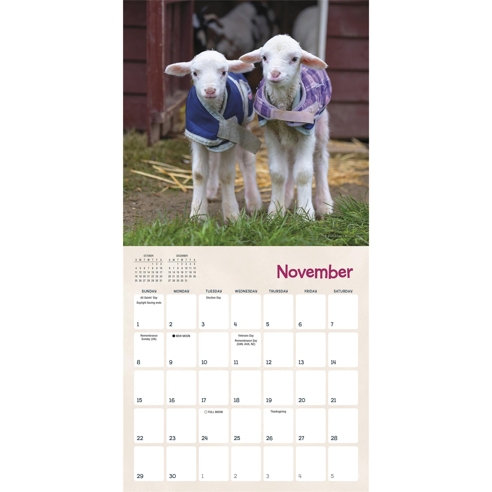 Lambies In Jammies And Goats In Coats 2026 Mini Calendar