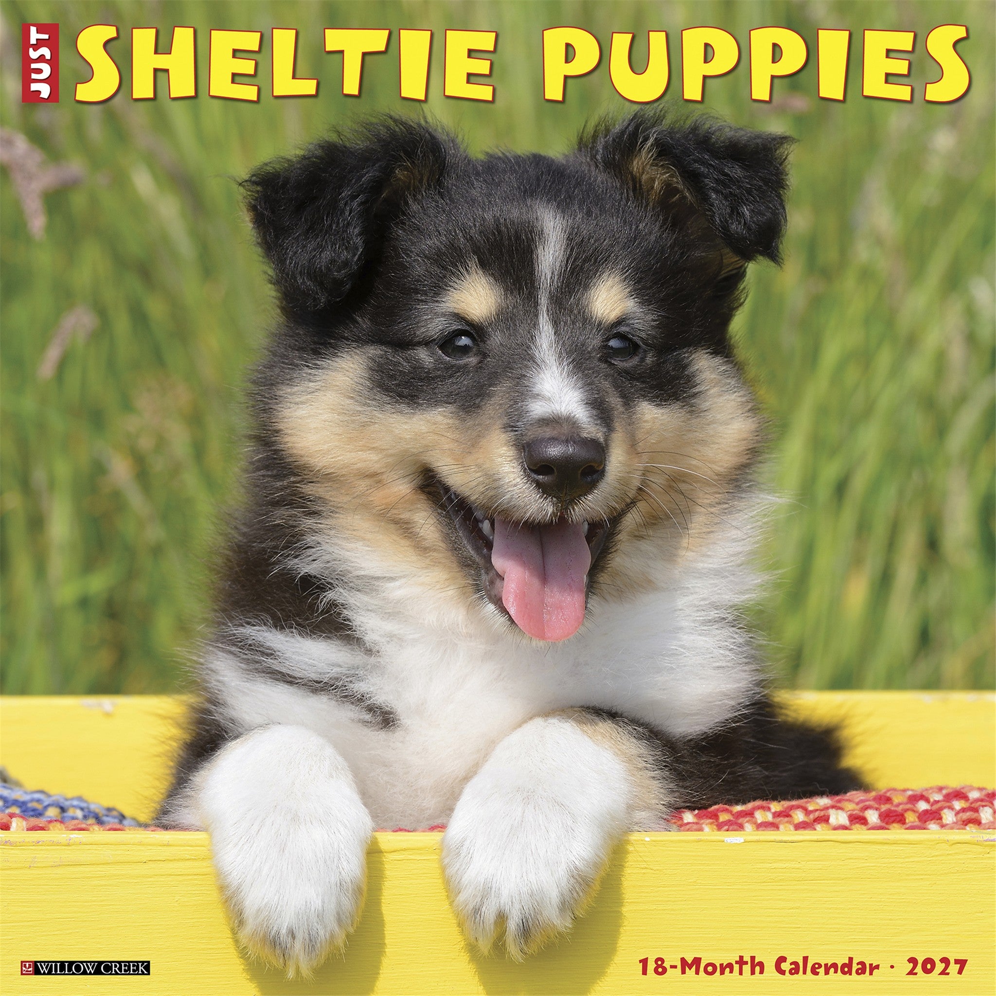 Sheltie Puppies 2027 Wall Calendar - Online Only