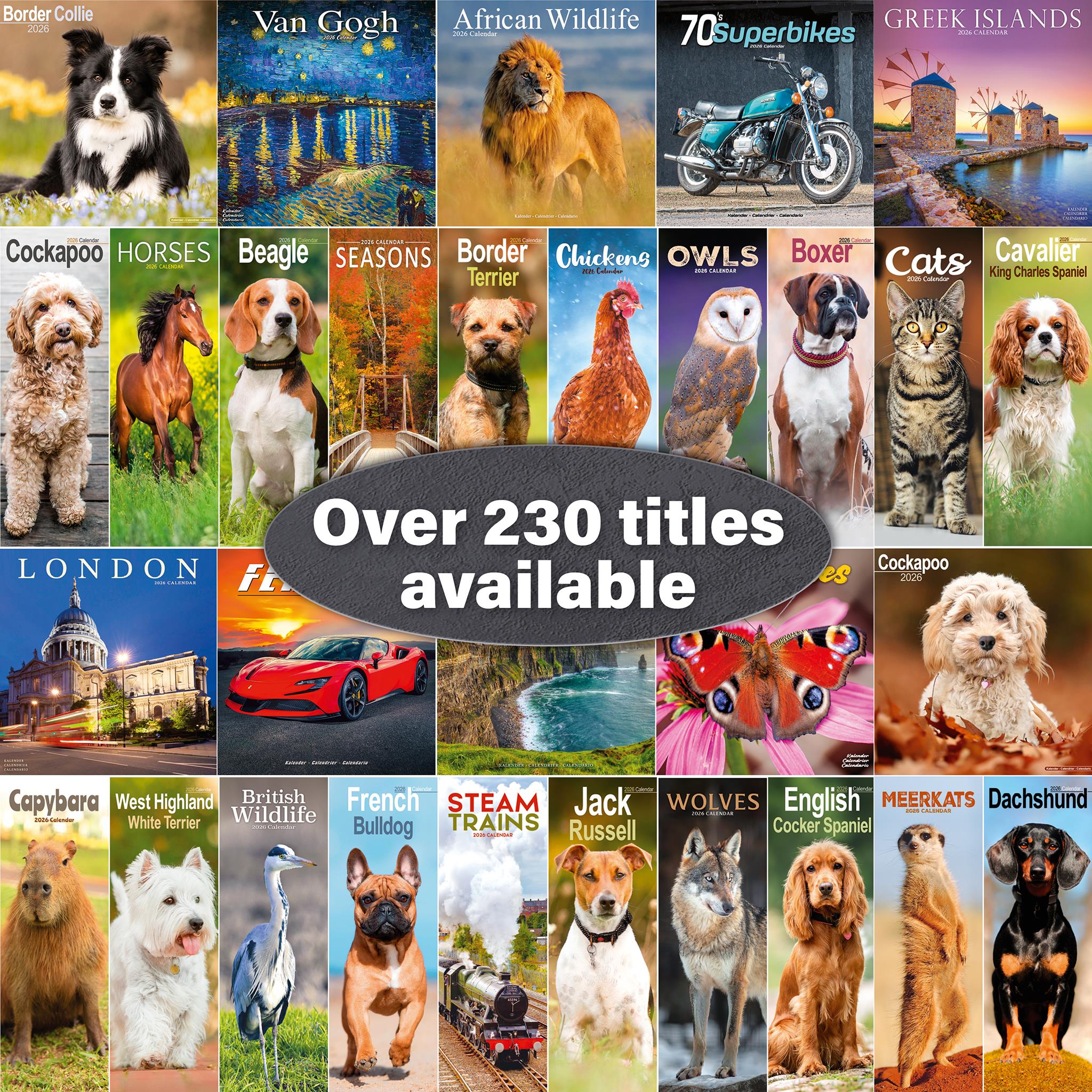 American Staffordshire Terrier 2026 Wall Calendar - Online Only