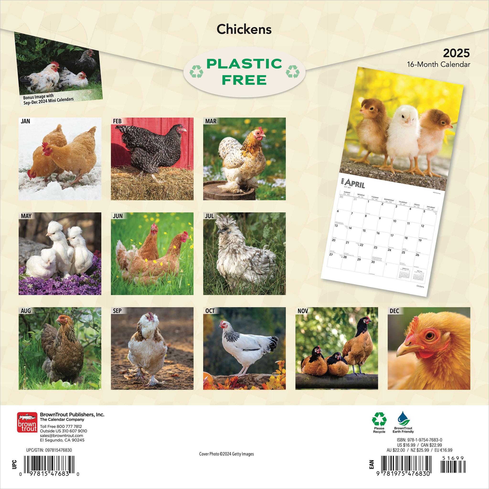 Chickens Wall 2025 Calendar
