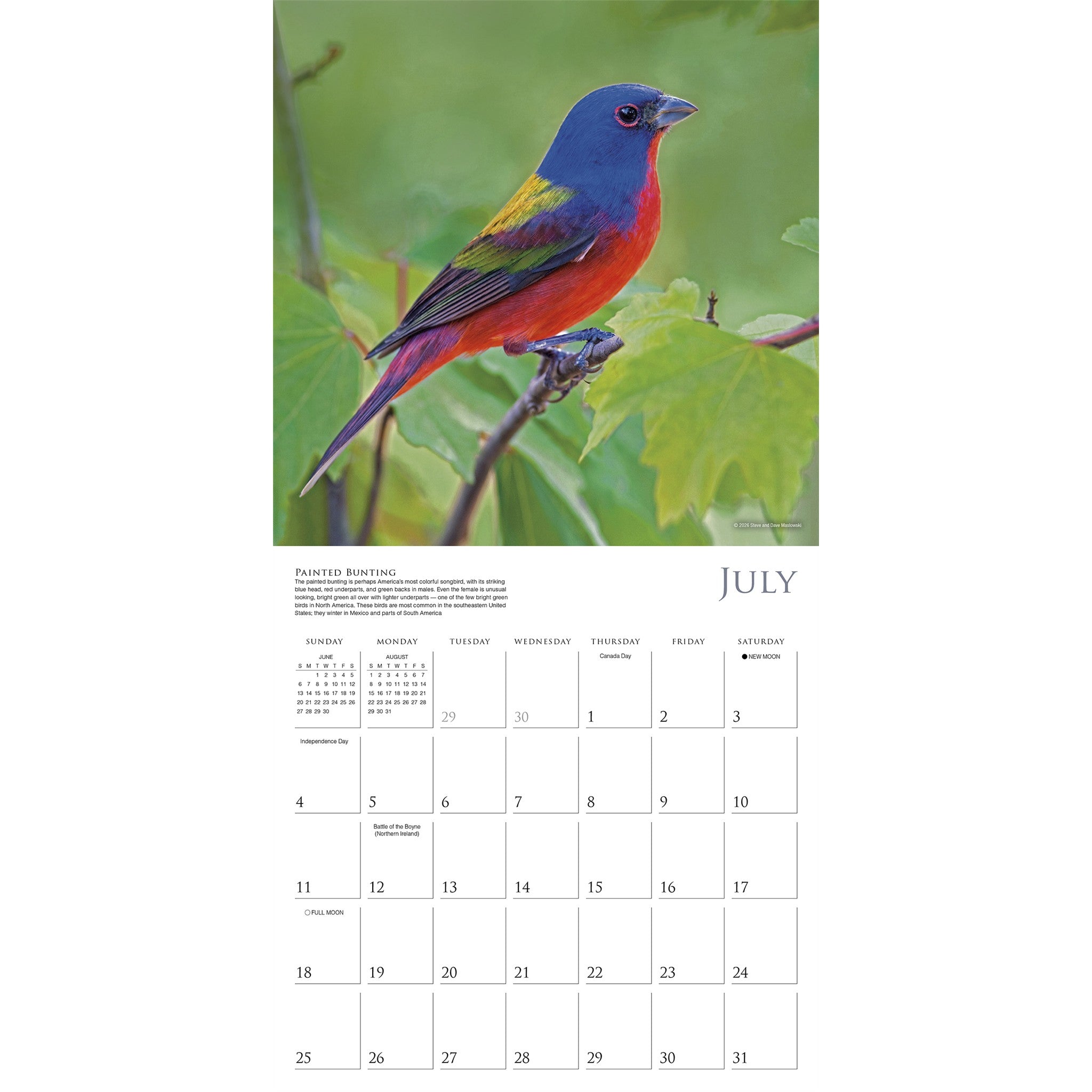 Songbirds of North America 2027 Wall Calendar
