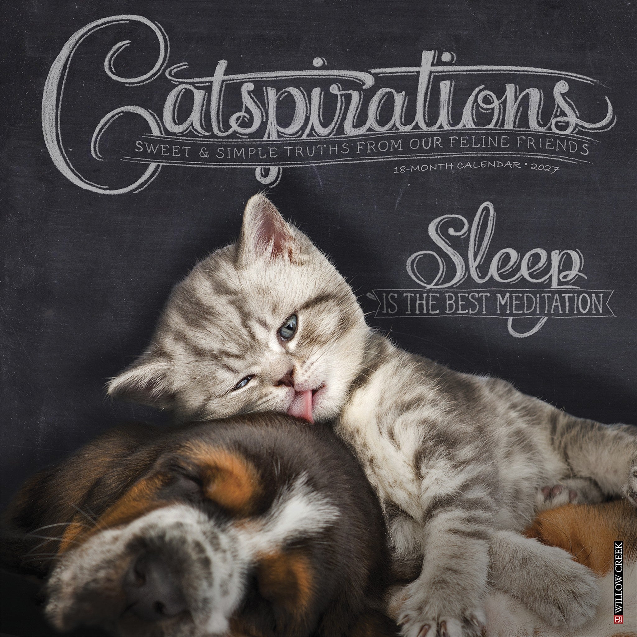 Catspirations 2027 Wall Calendar