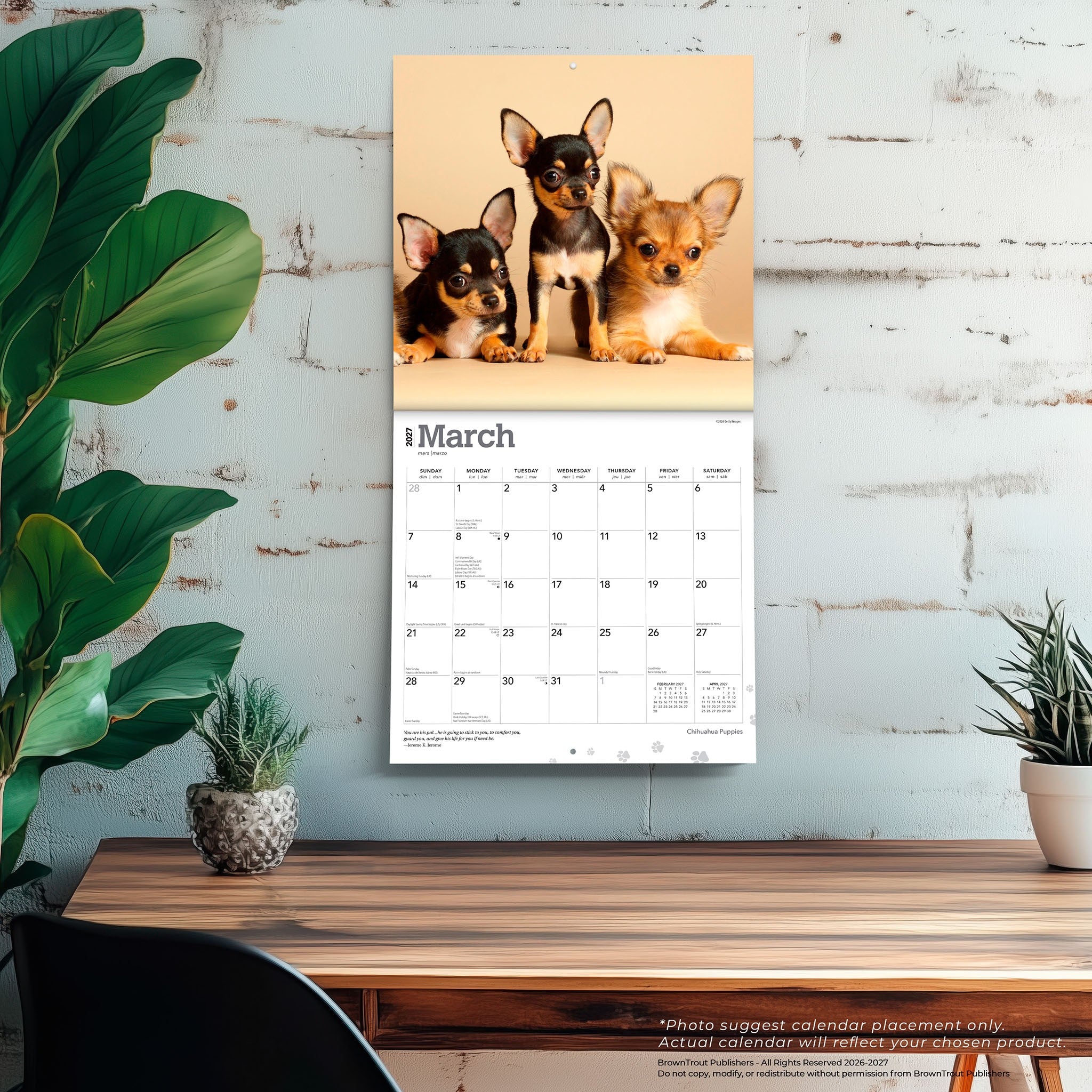 Chihuahua Puppies 2027 Wall Calendar