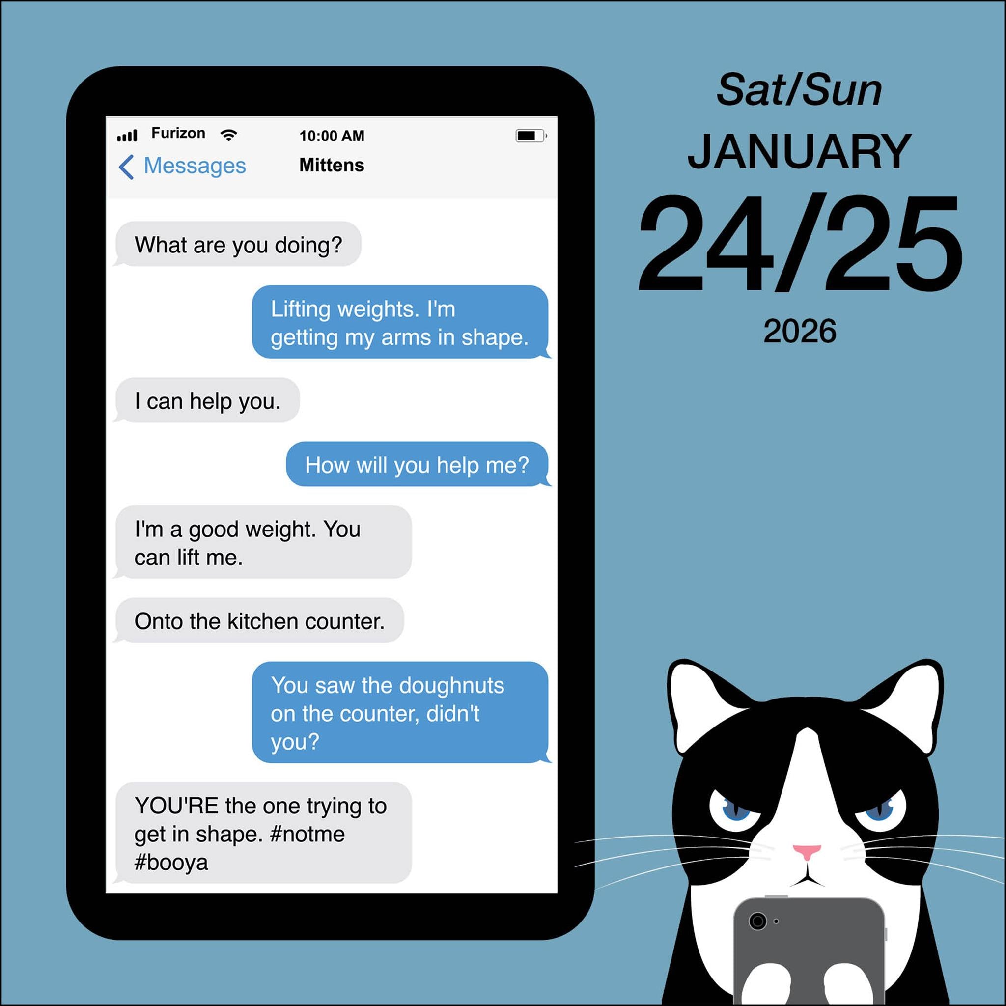 Texts From Mittens The Cat 2026 Box Calendar