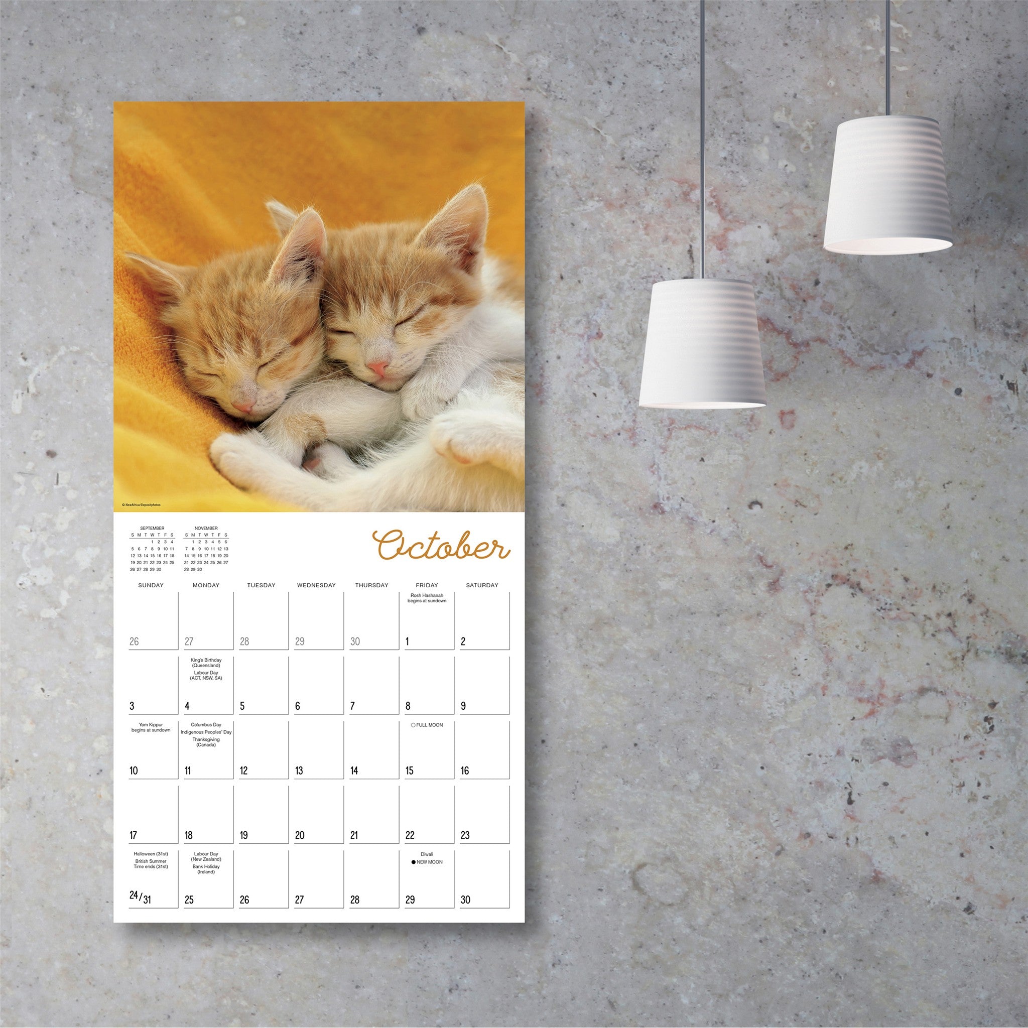 Cat Naps 2027 Wall Calendar - Online Only