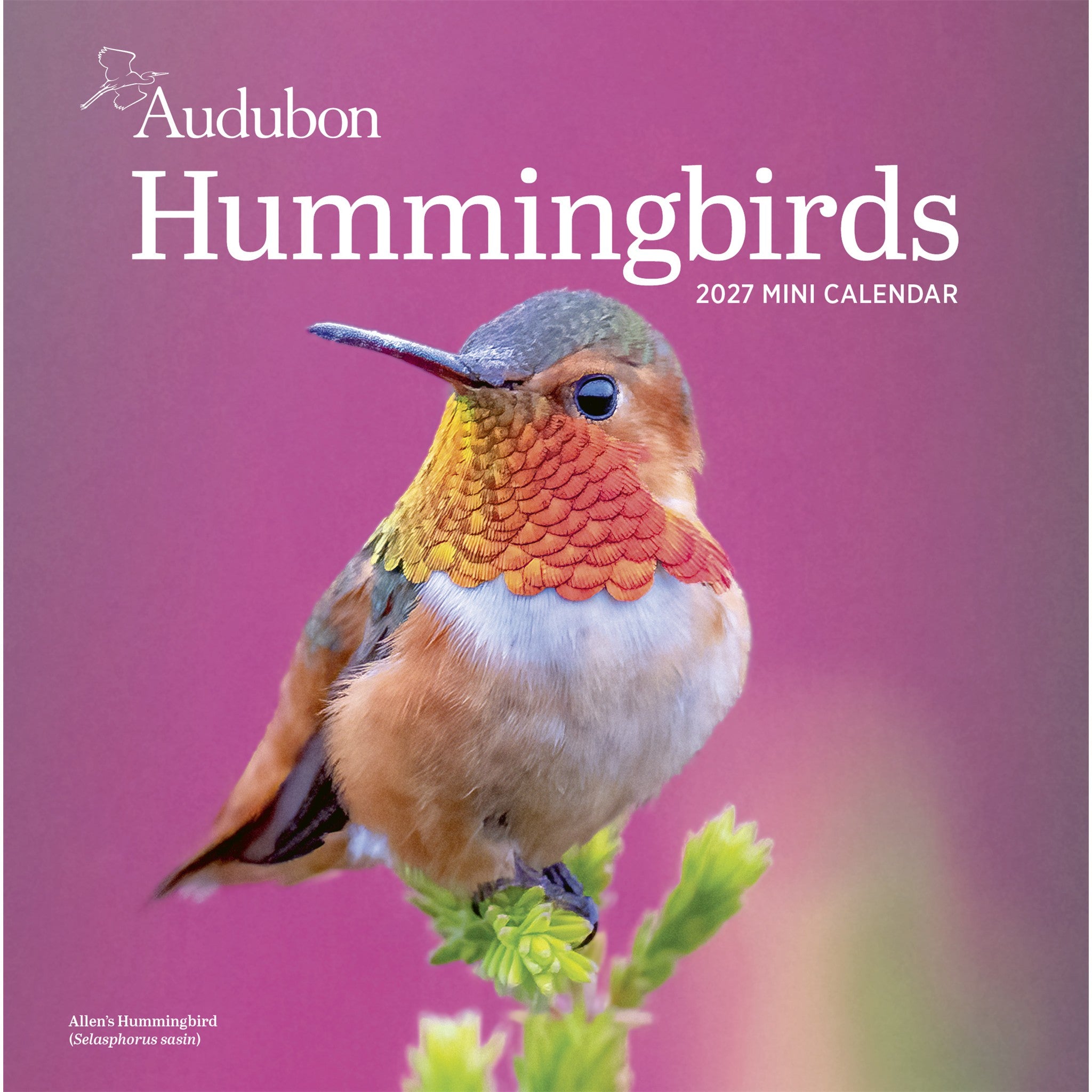 Audubon Hummingbirds 2027 Mini Calendar - Online Only