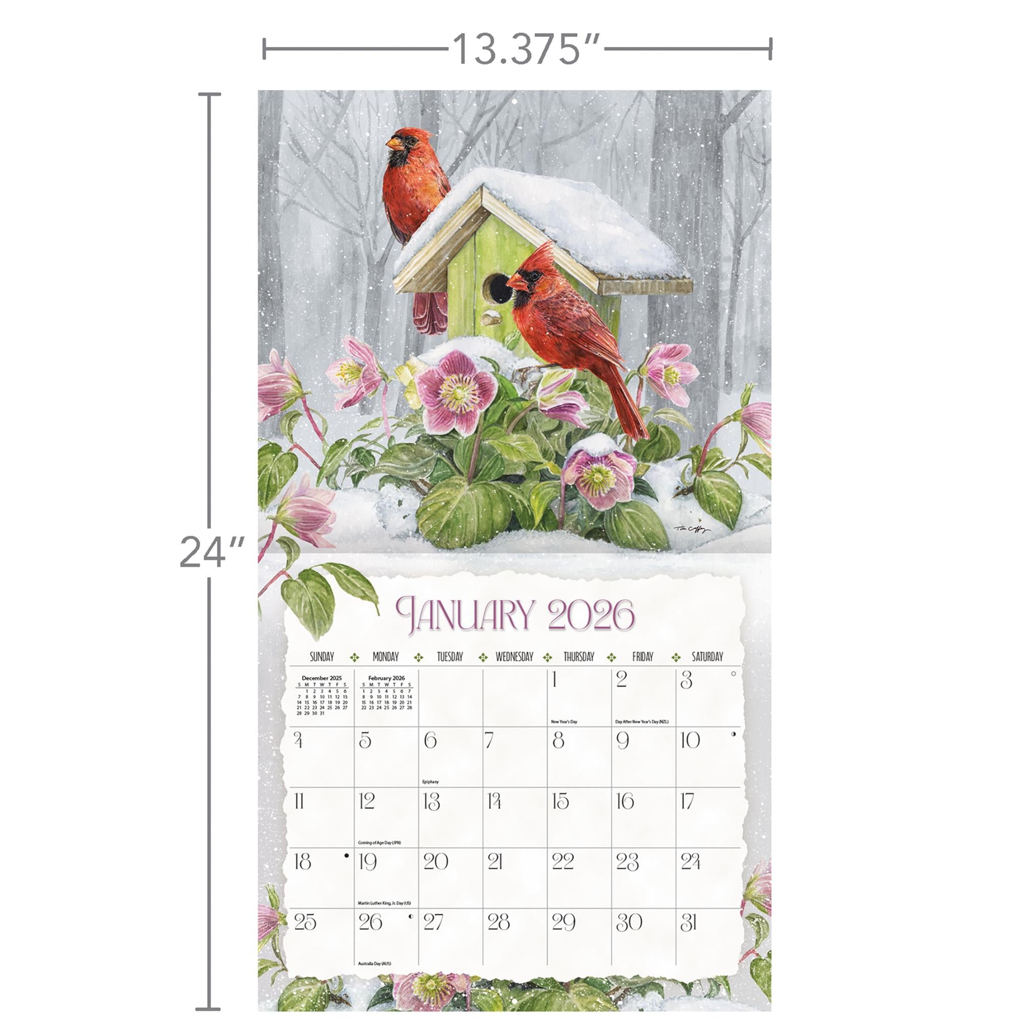 Birdhouses 2026 Deluxe Wall Calendar - Online Only
