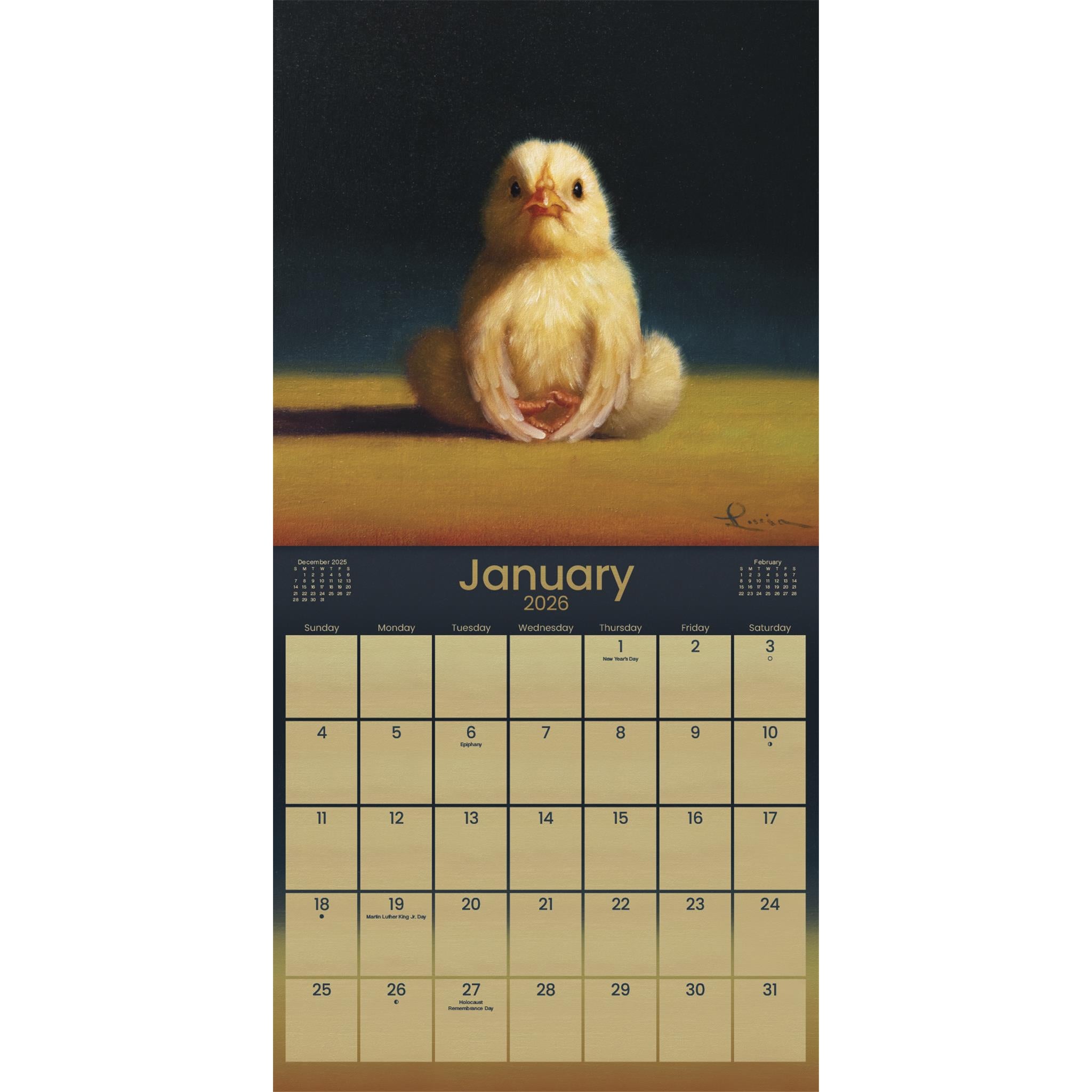 Yoga Chicks 2026 Wall Calendar