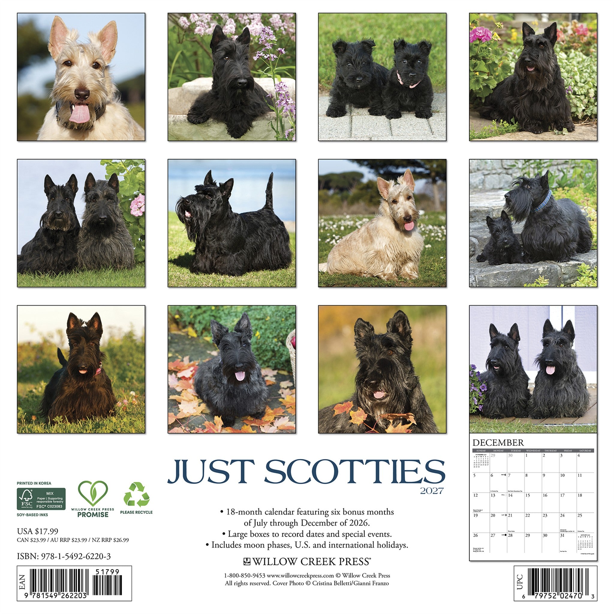Scotties 2027 Wall Calendar