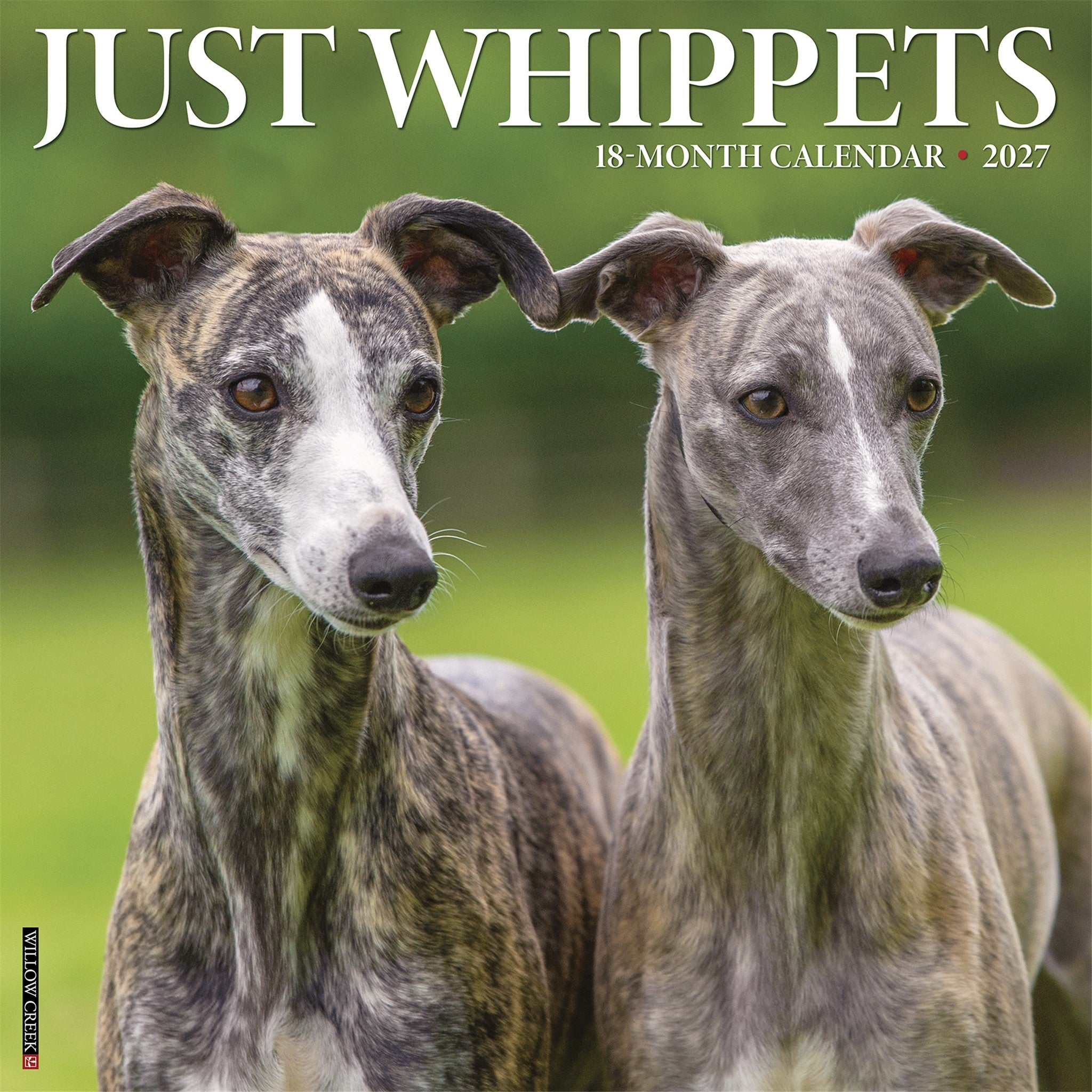 Whippets 2027 Wall Calendar