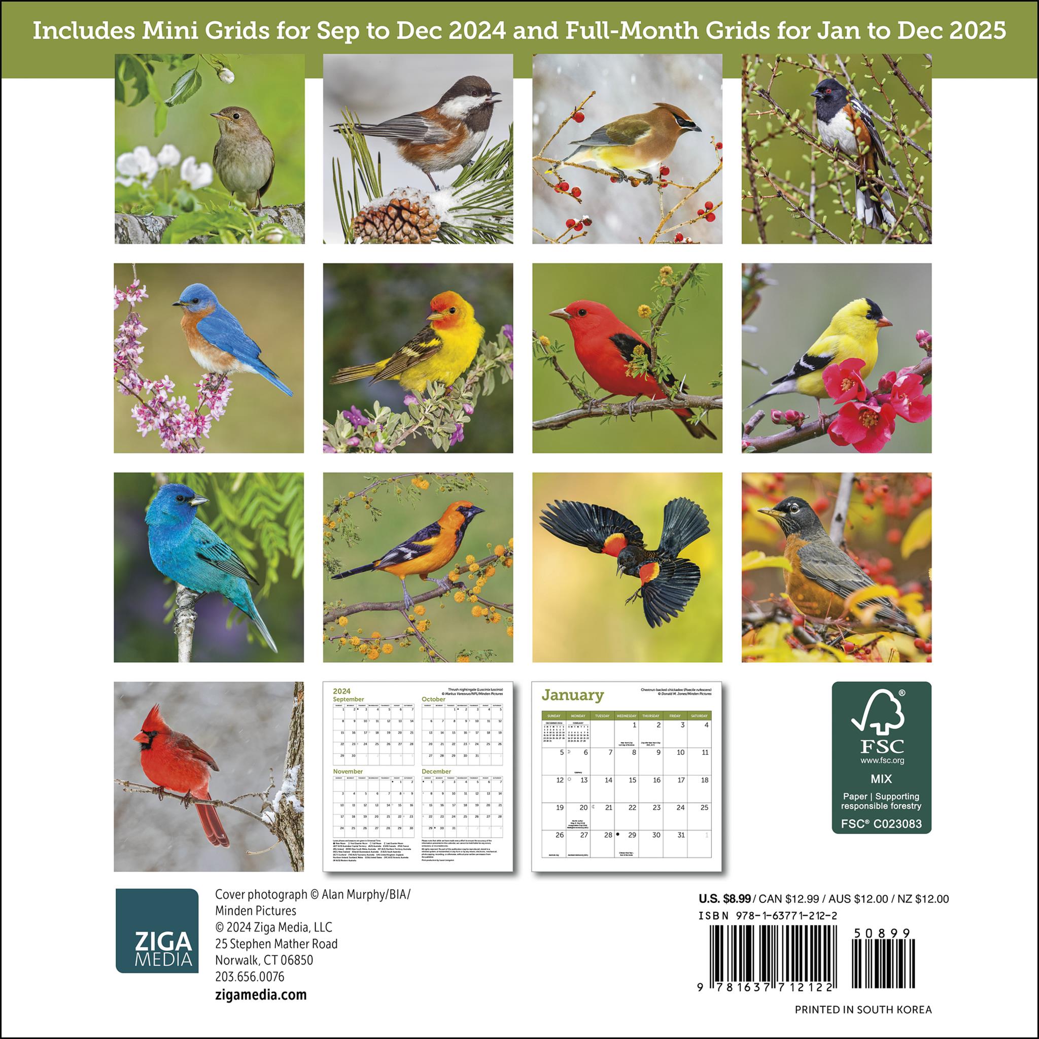 Songbirds Mini 2025 Calendar
